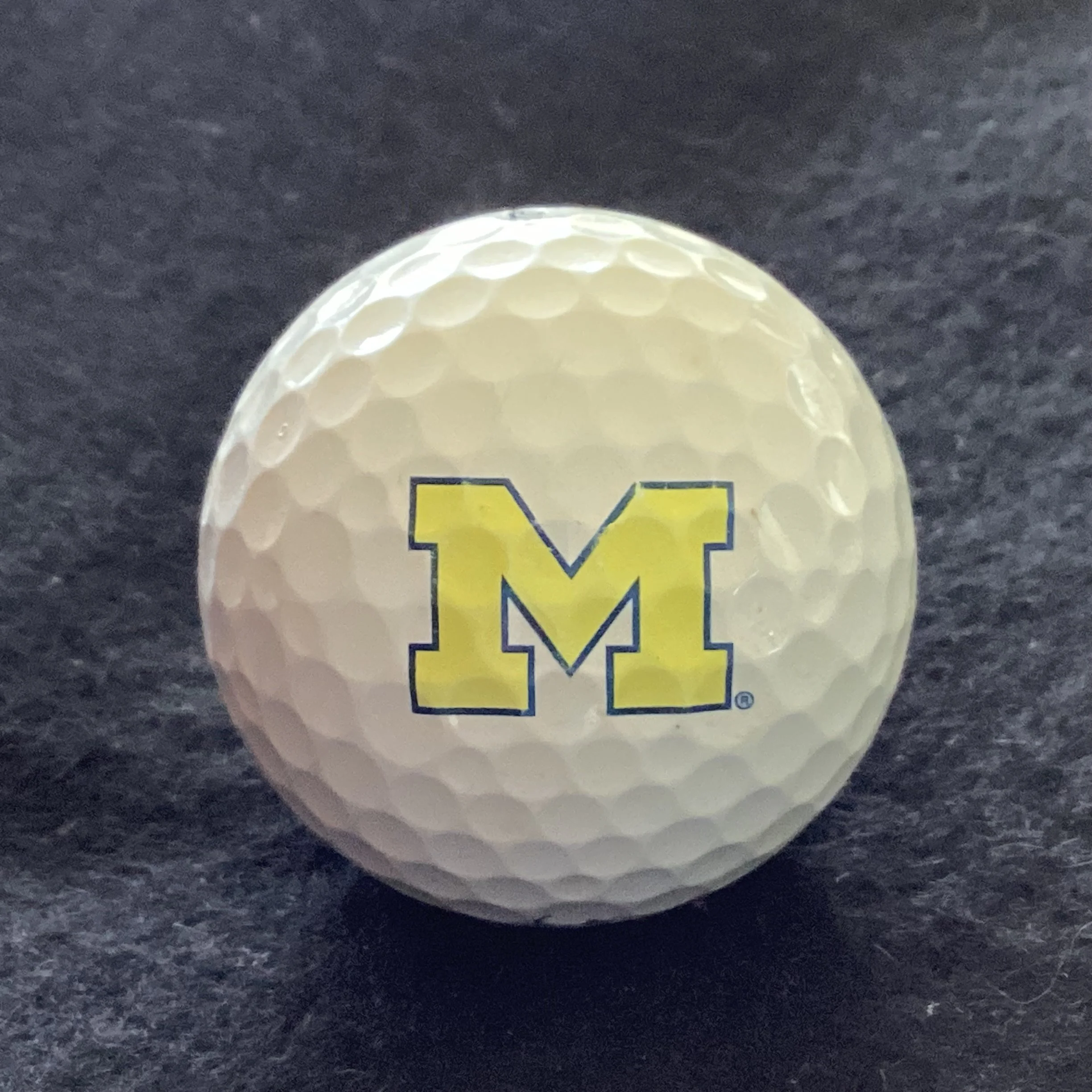 University of Michigan Golf Course 