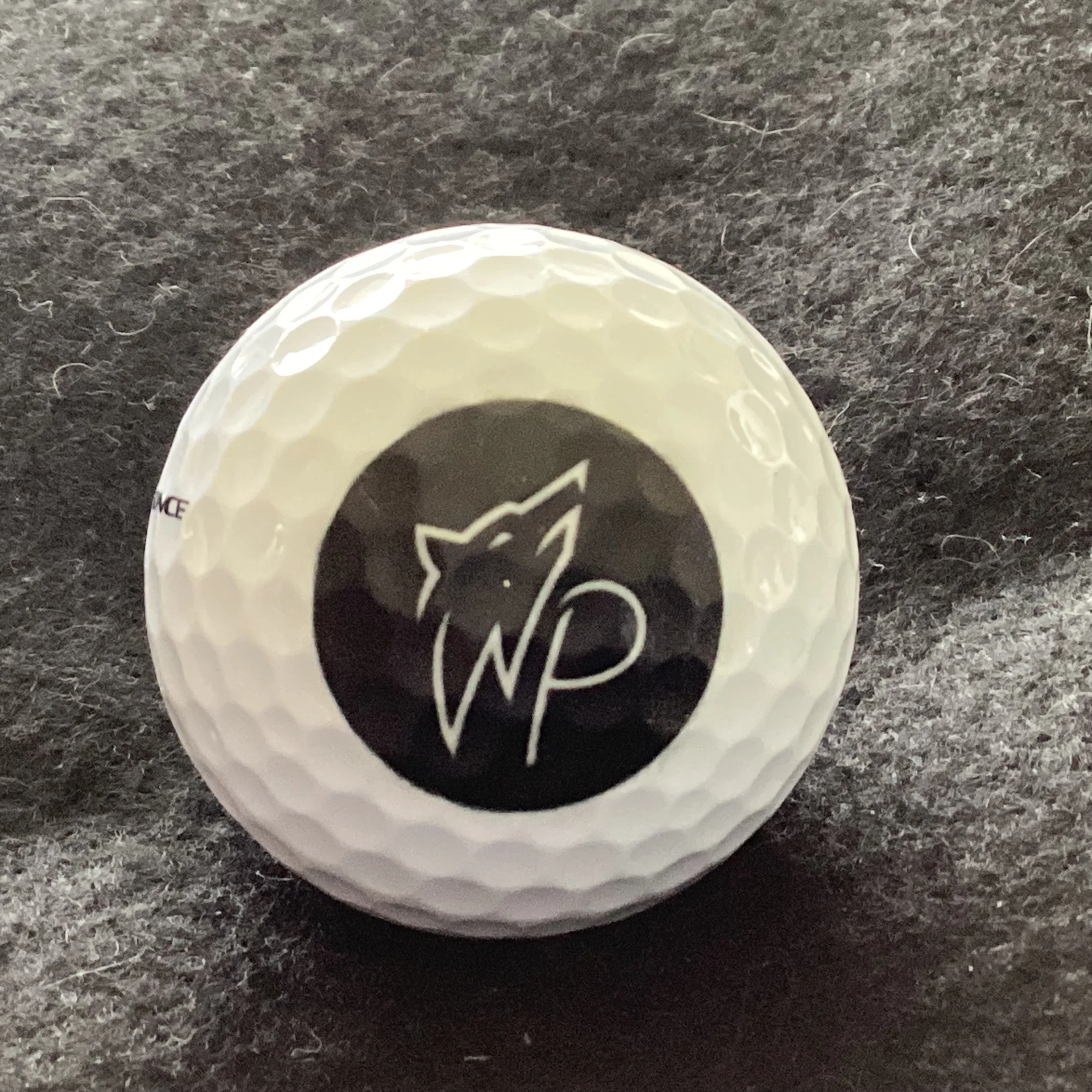 Wolf Point Club
