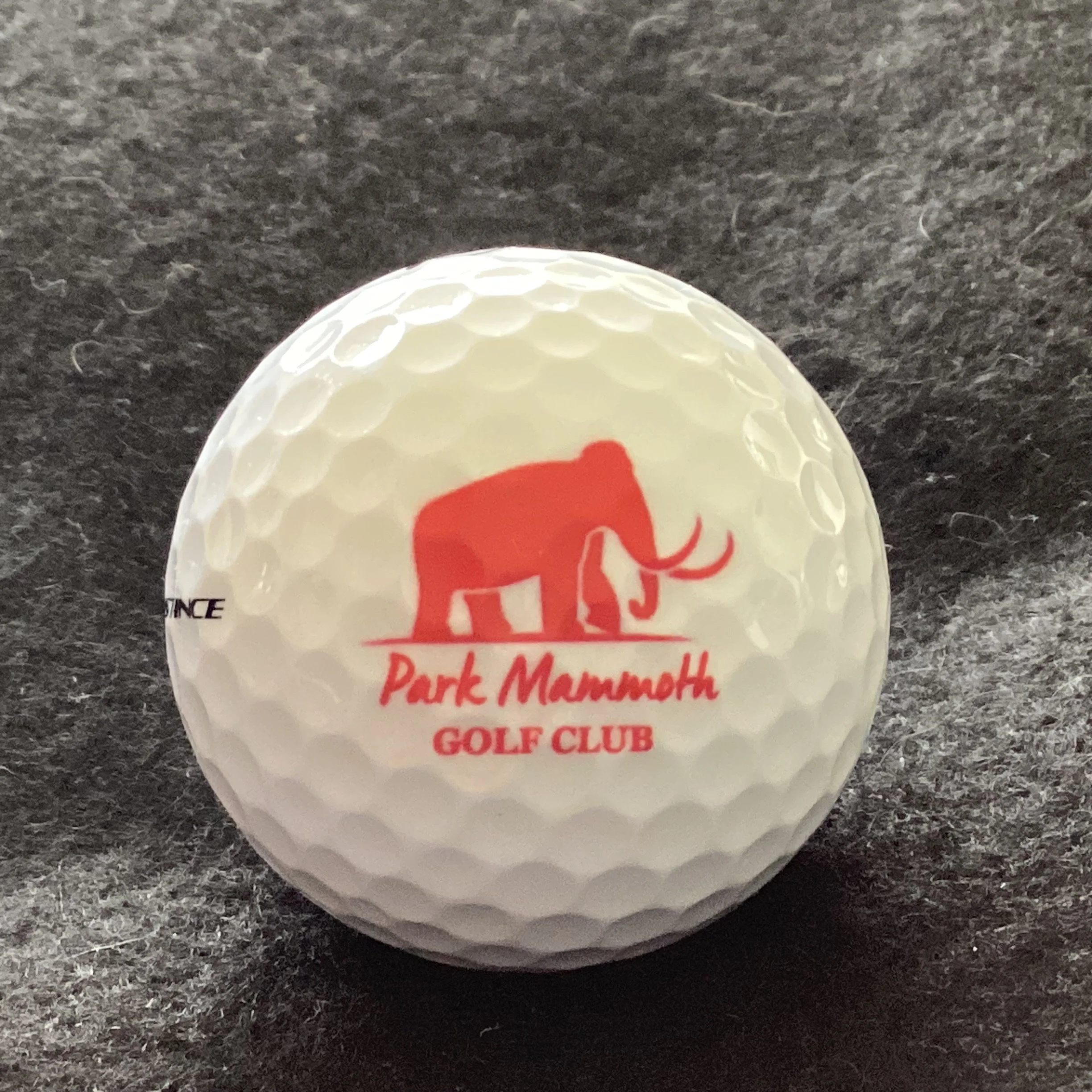 Park Mammoth Golf Club 
