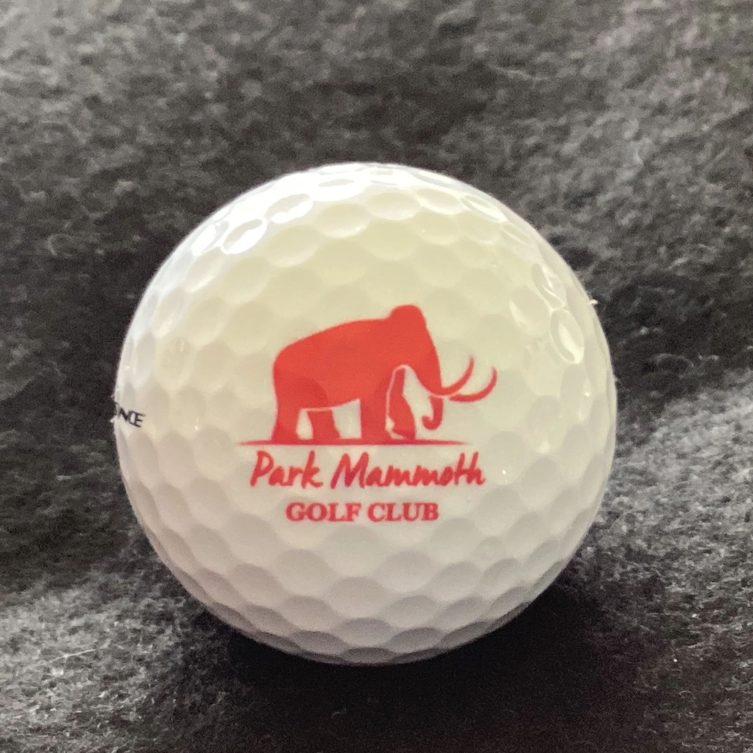 Park Mammoth Golf Club 