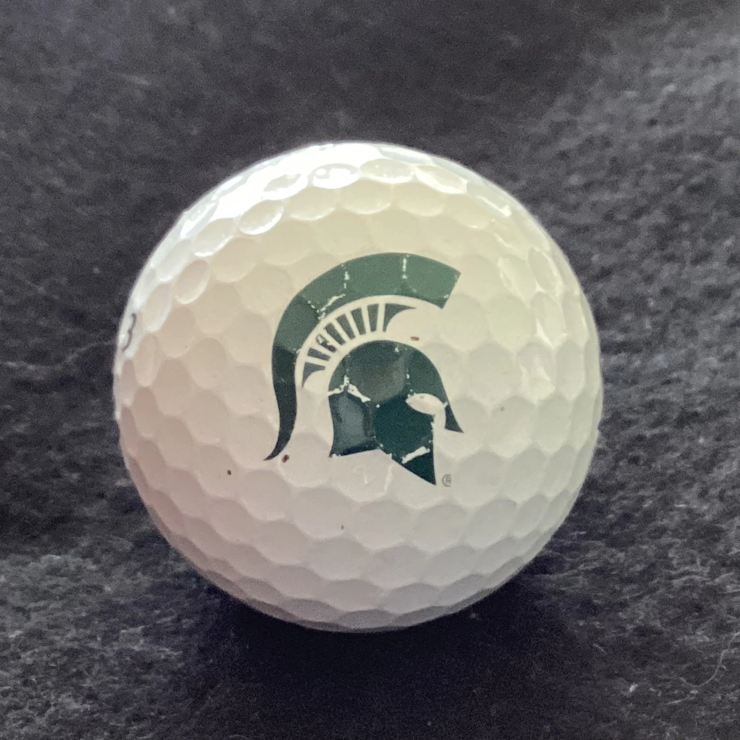 Michigan State University Spartans 