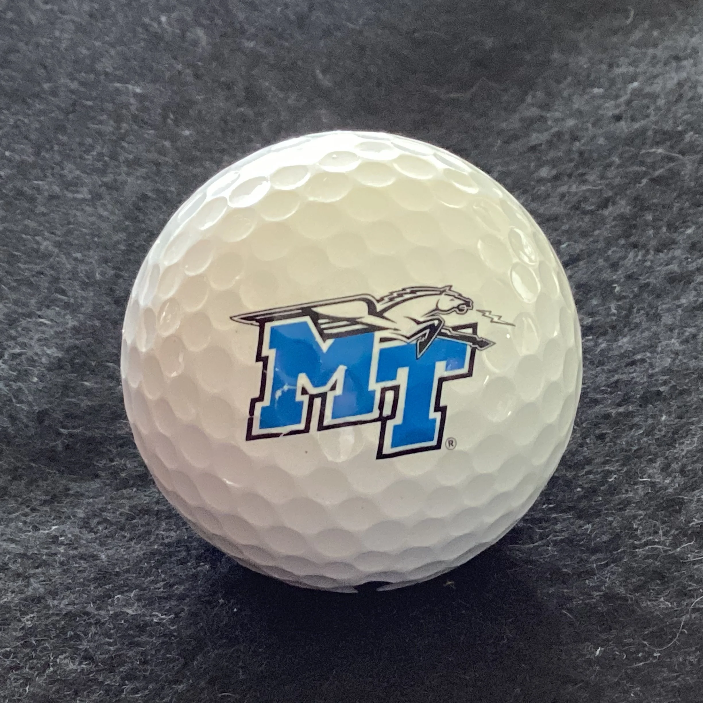 Middle Tennessee State University Blue Raiders 