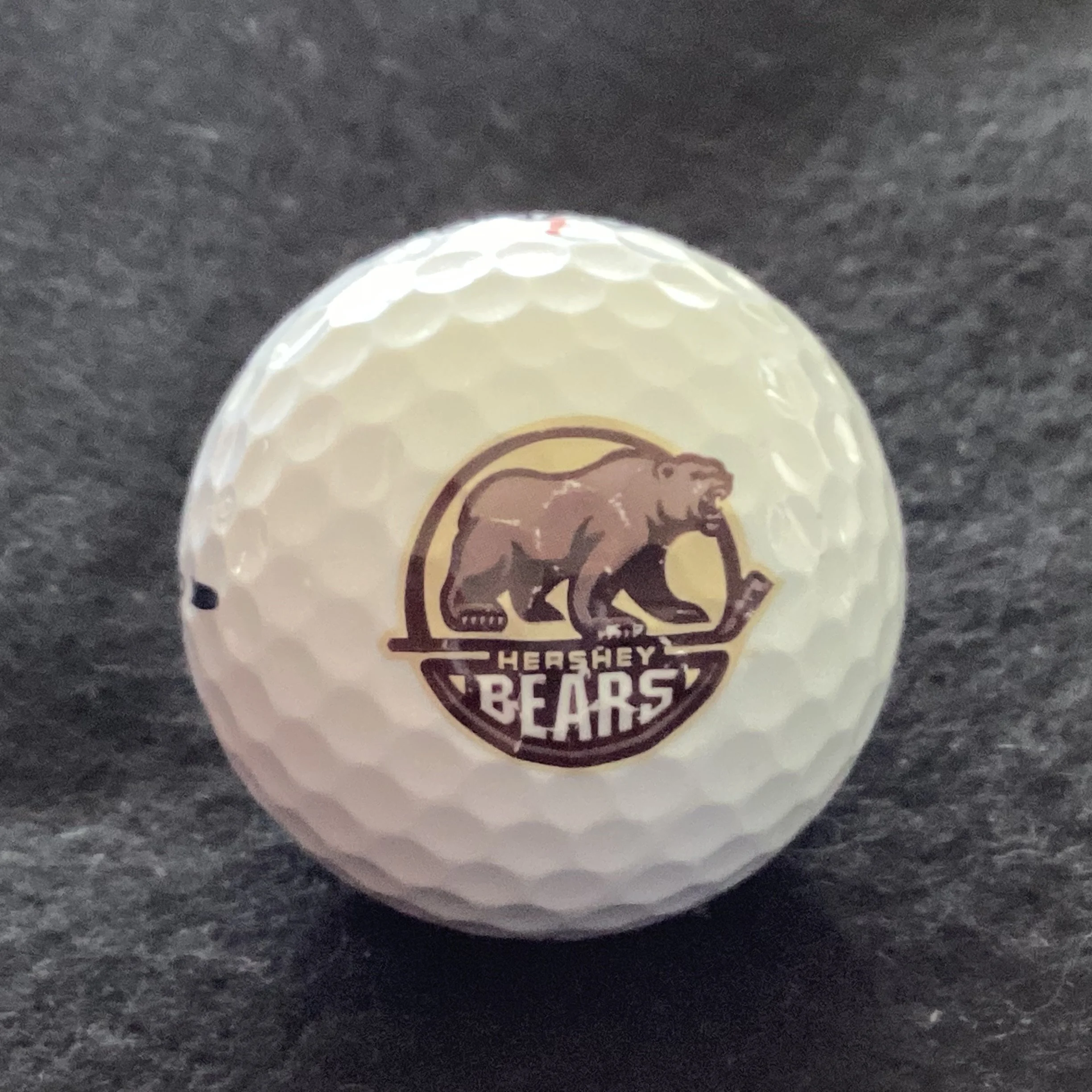 Hershey Bears