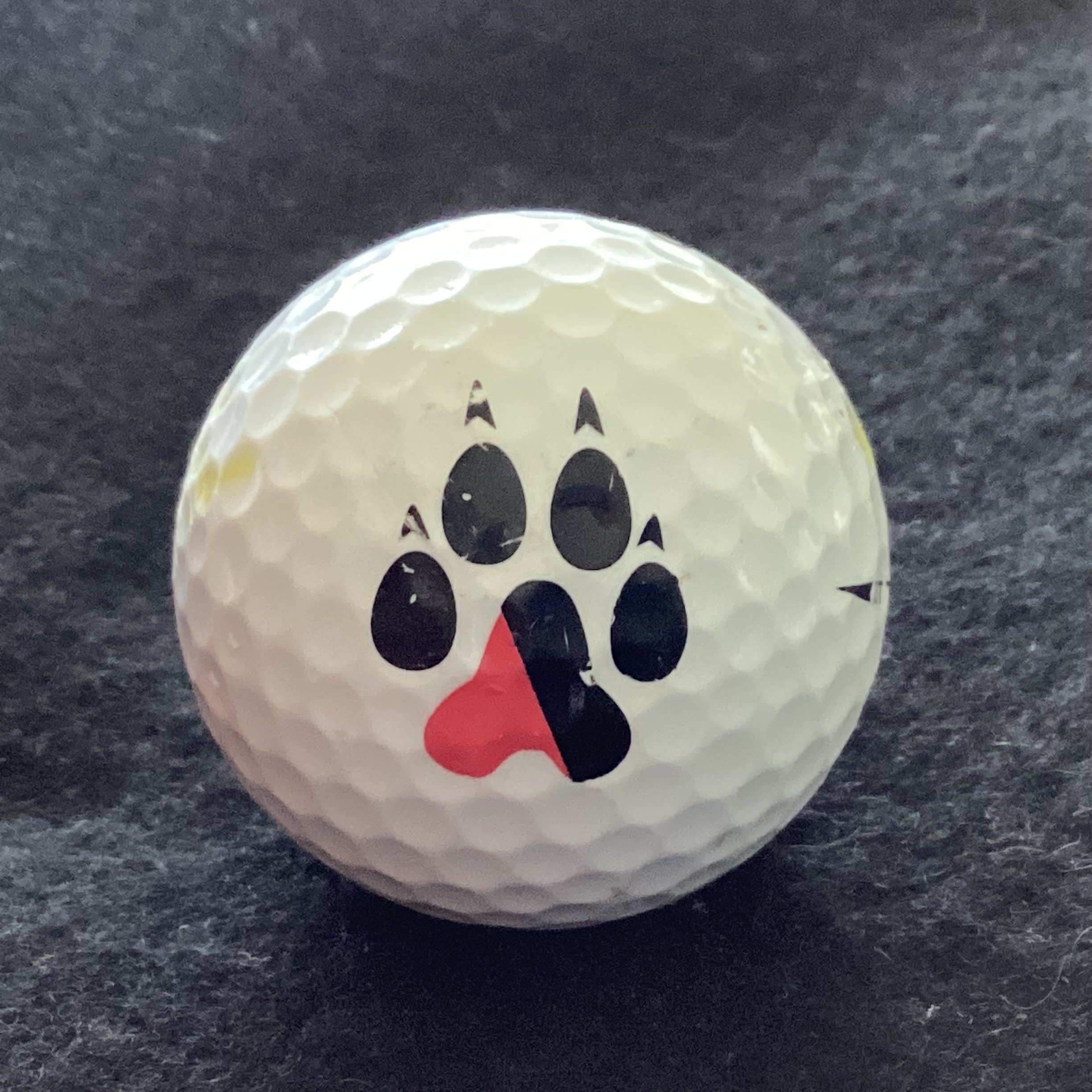 Northeastern University Huskies