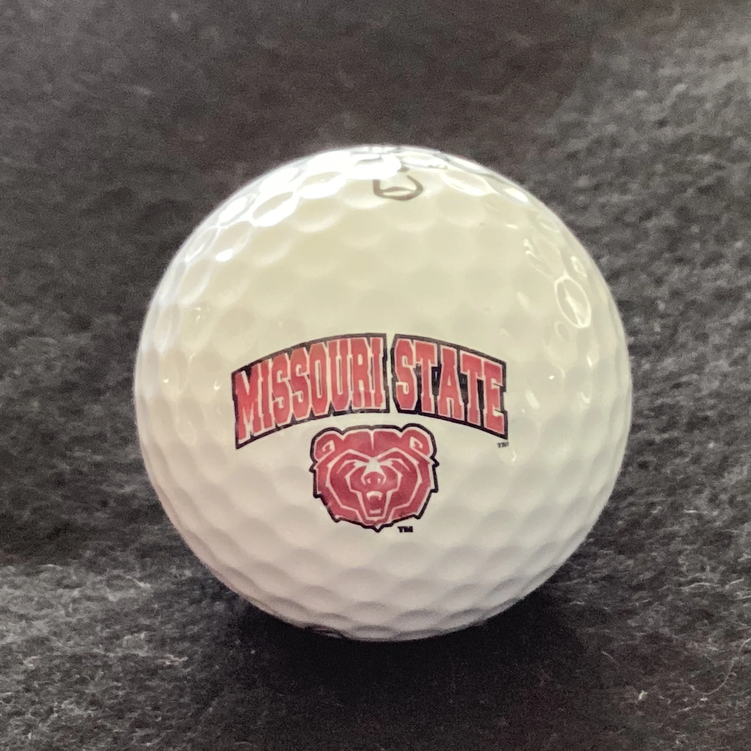 Missouri State University Bears