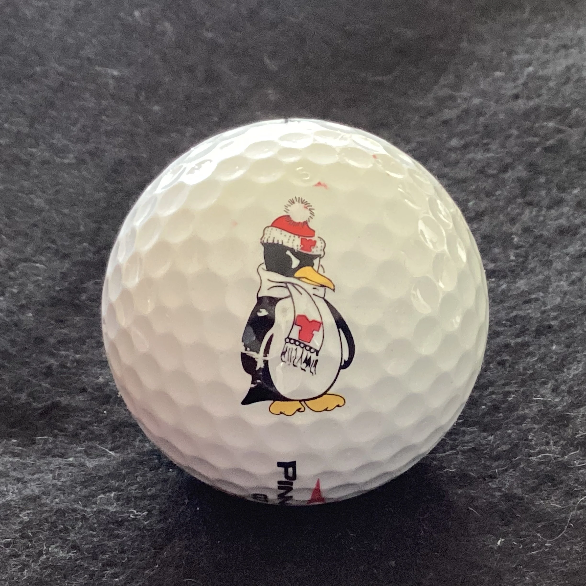 Youngstown State University Penguins 