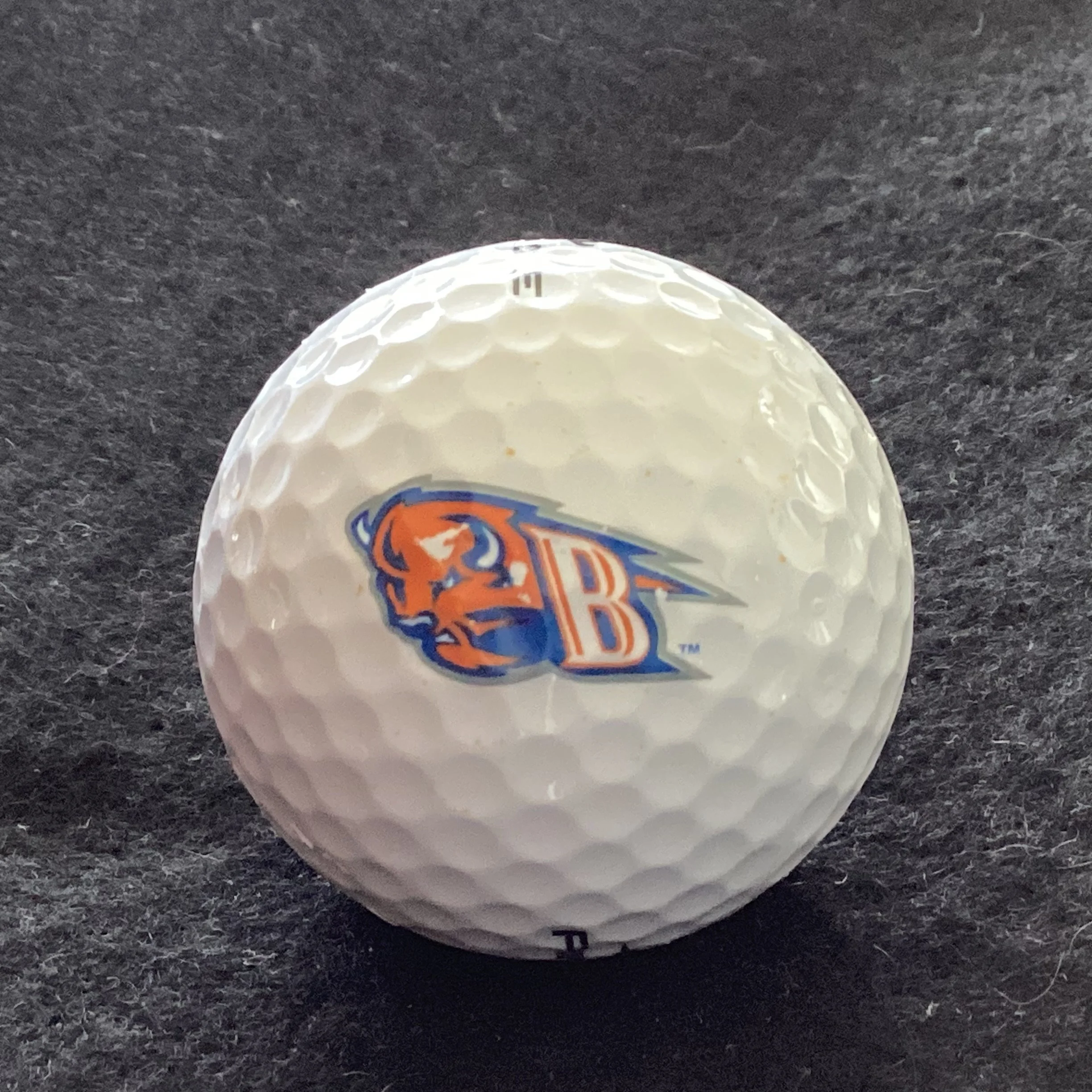 Bucknell University Bisons