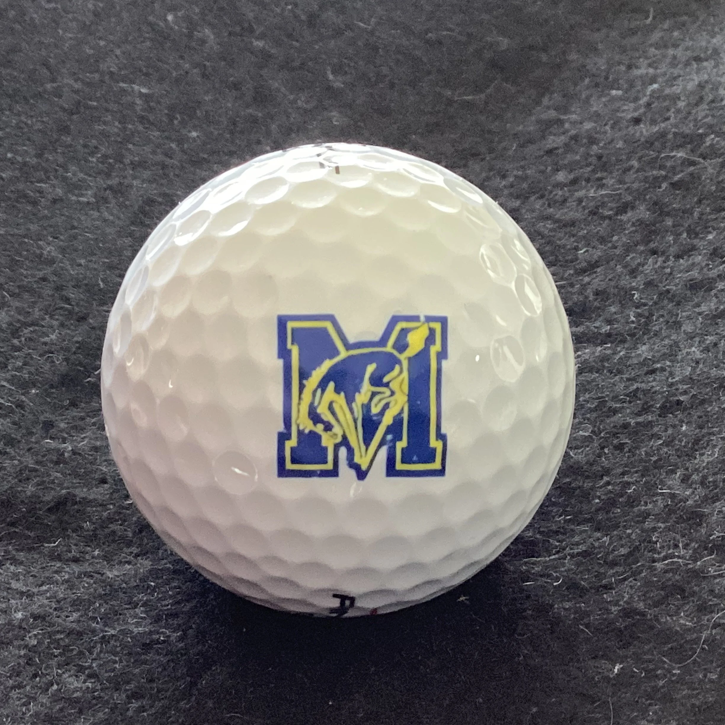 Marion Catholic School Mustangs