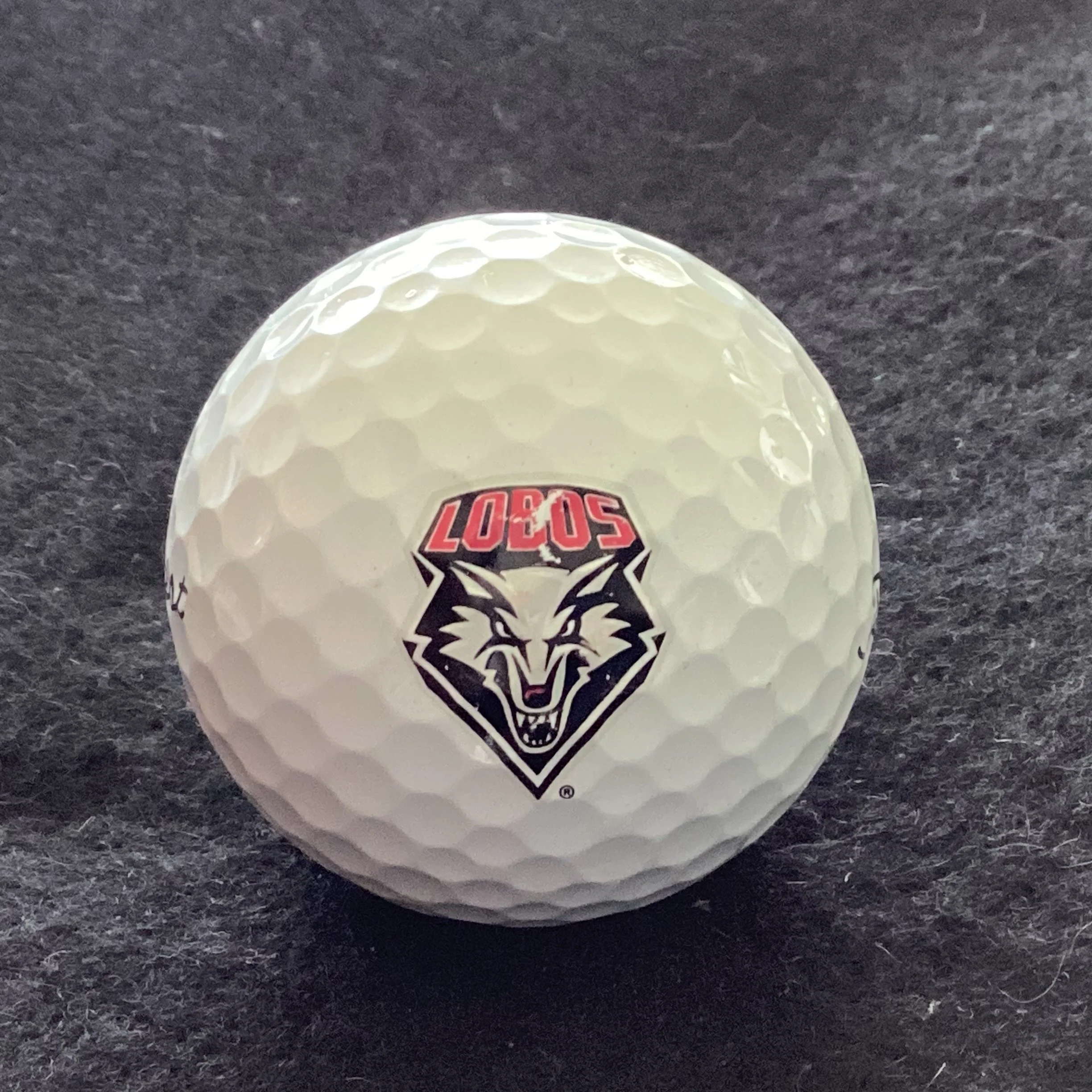 University of New Mexico Lobos