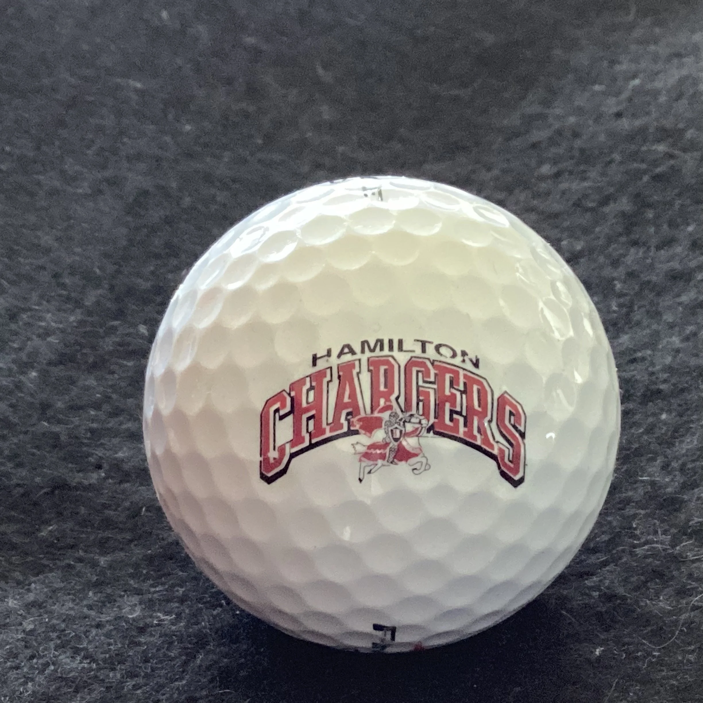 Hamilton High Chargers