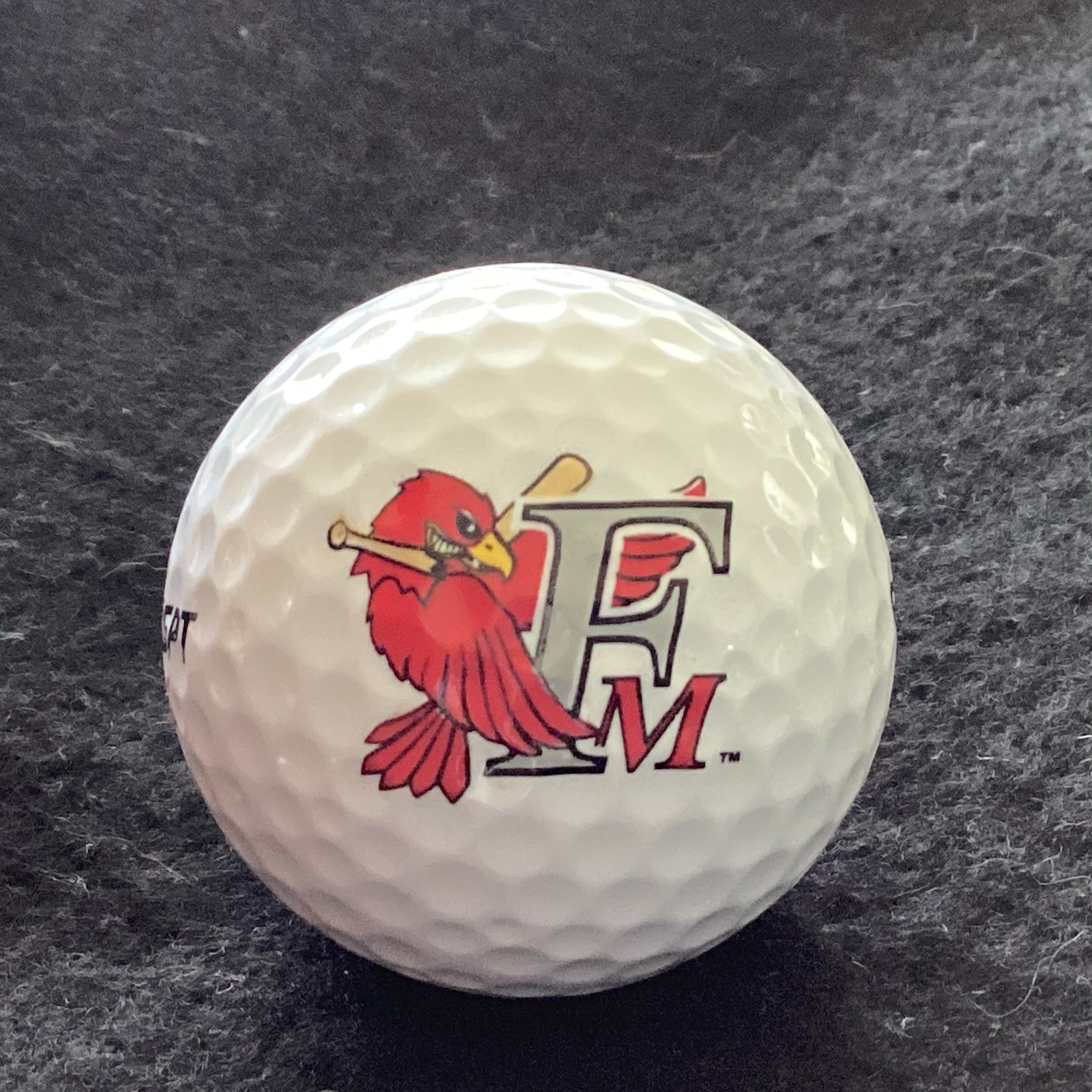 Fargo Moorhead Red Hawks