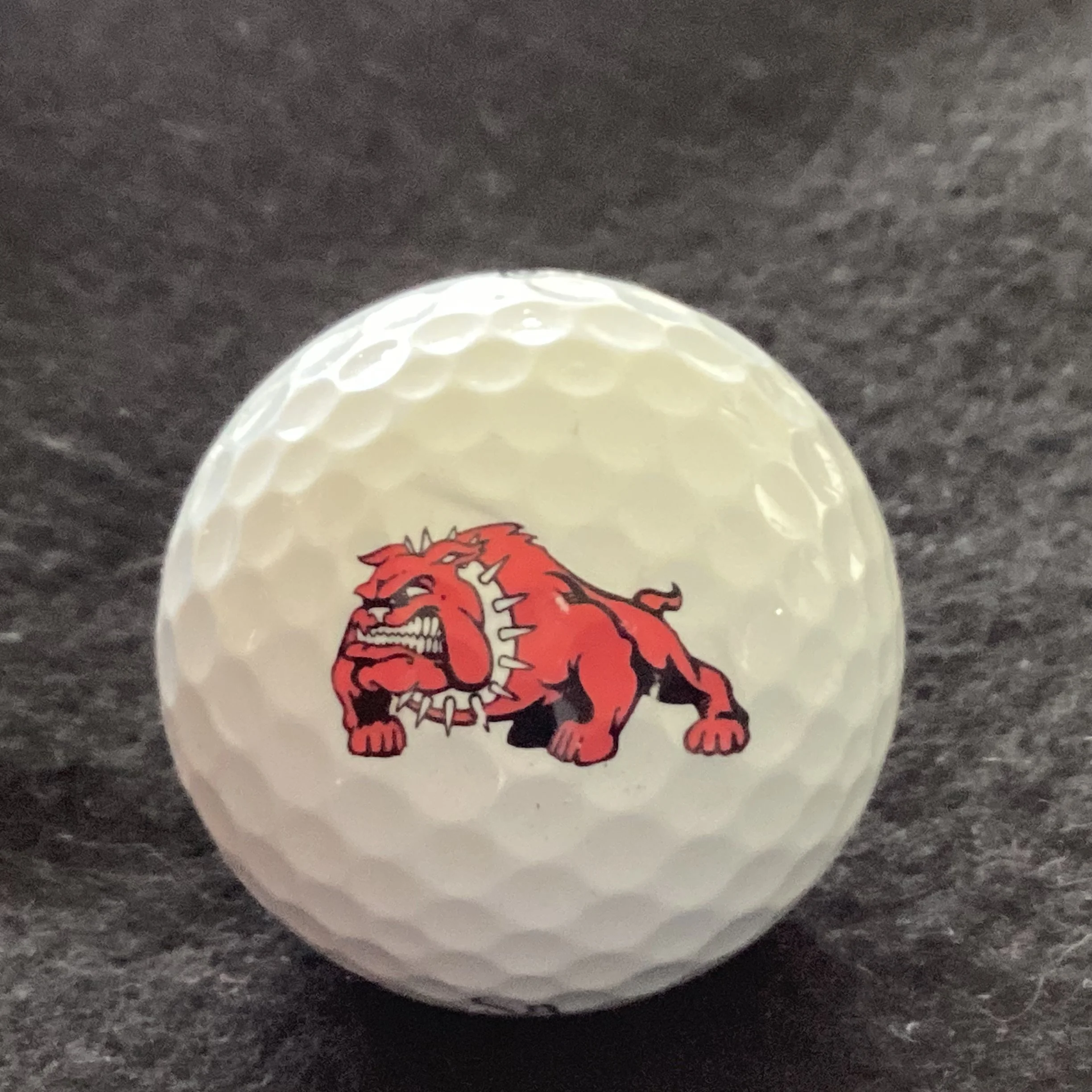 Streator High Bulldogs