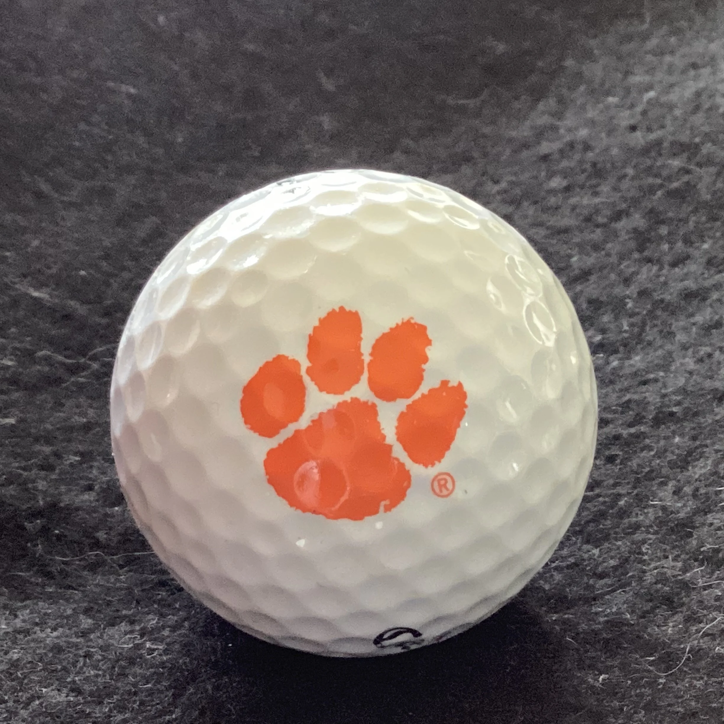 Clemson University Tigers