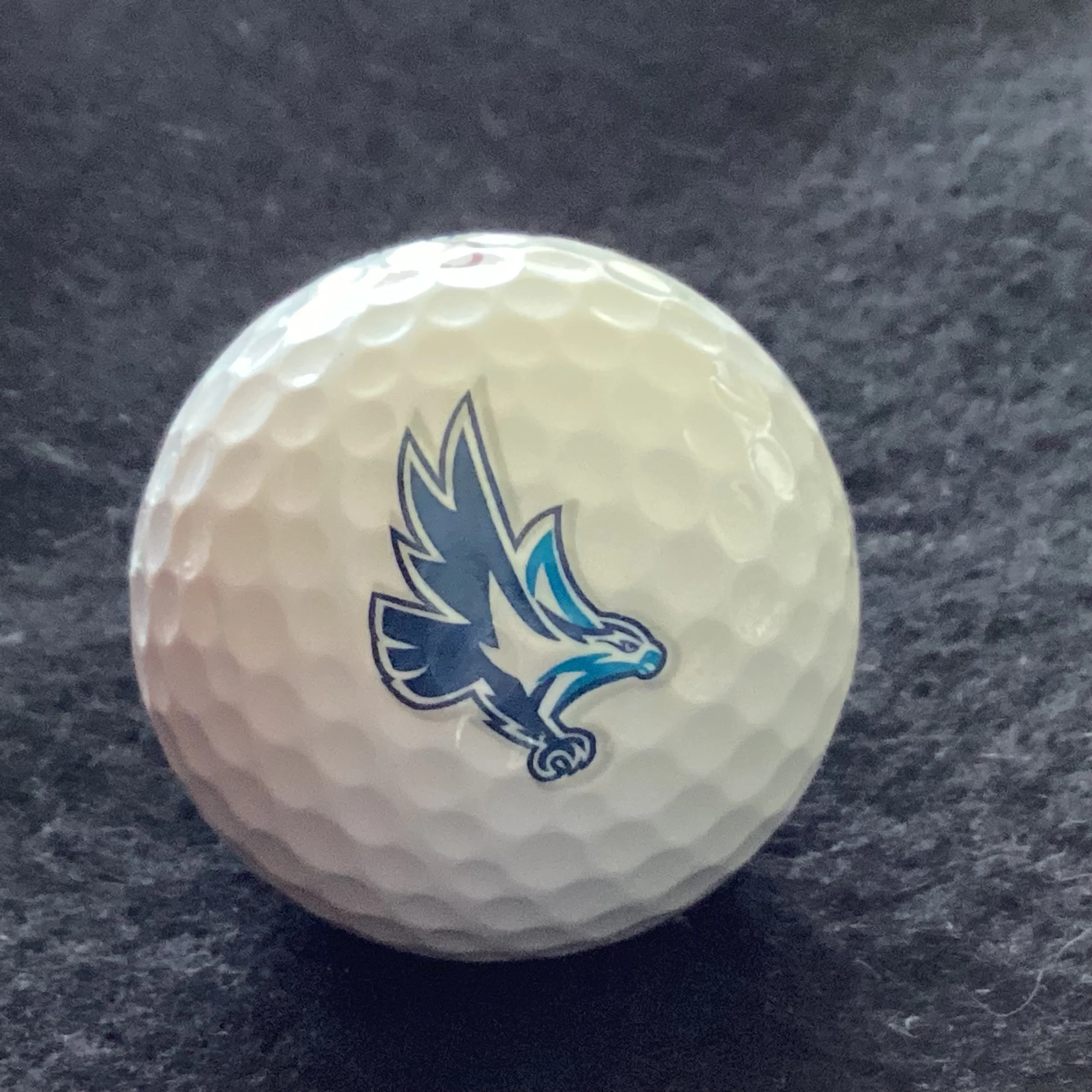 Kelser University Seahawks 