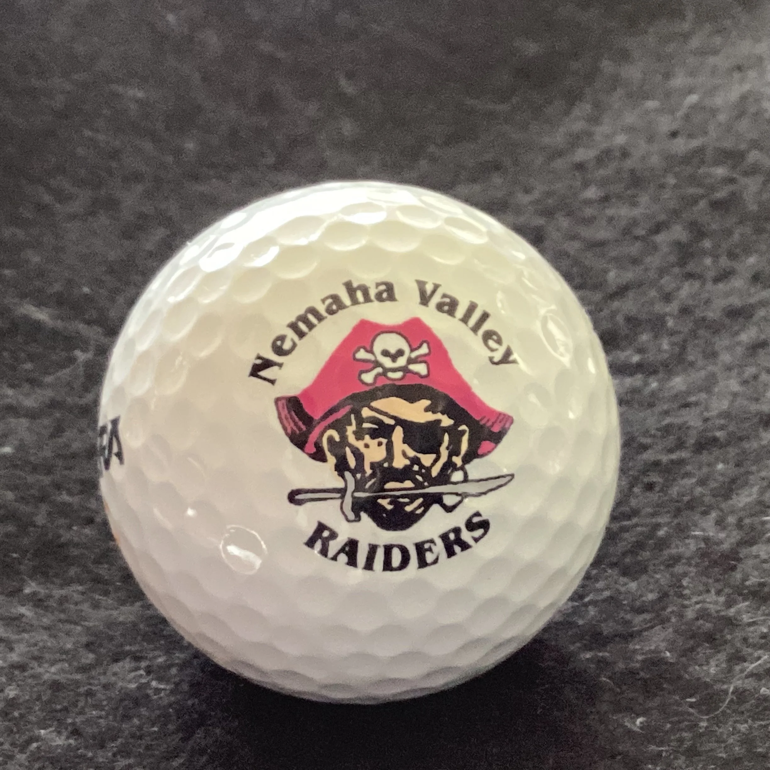 Nemaha Valley High Raiders 