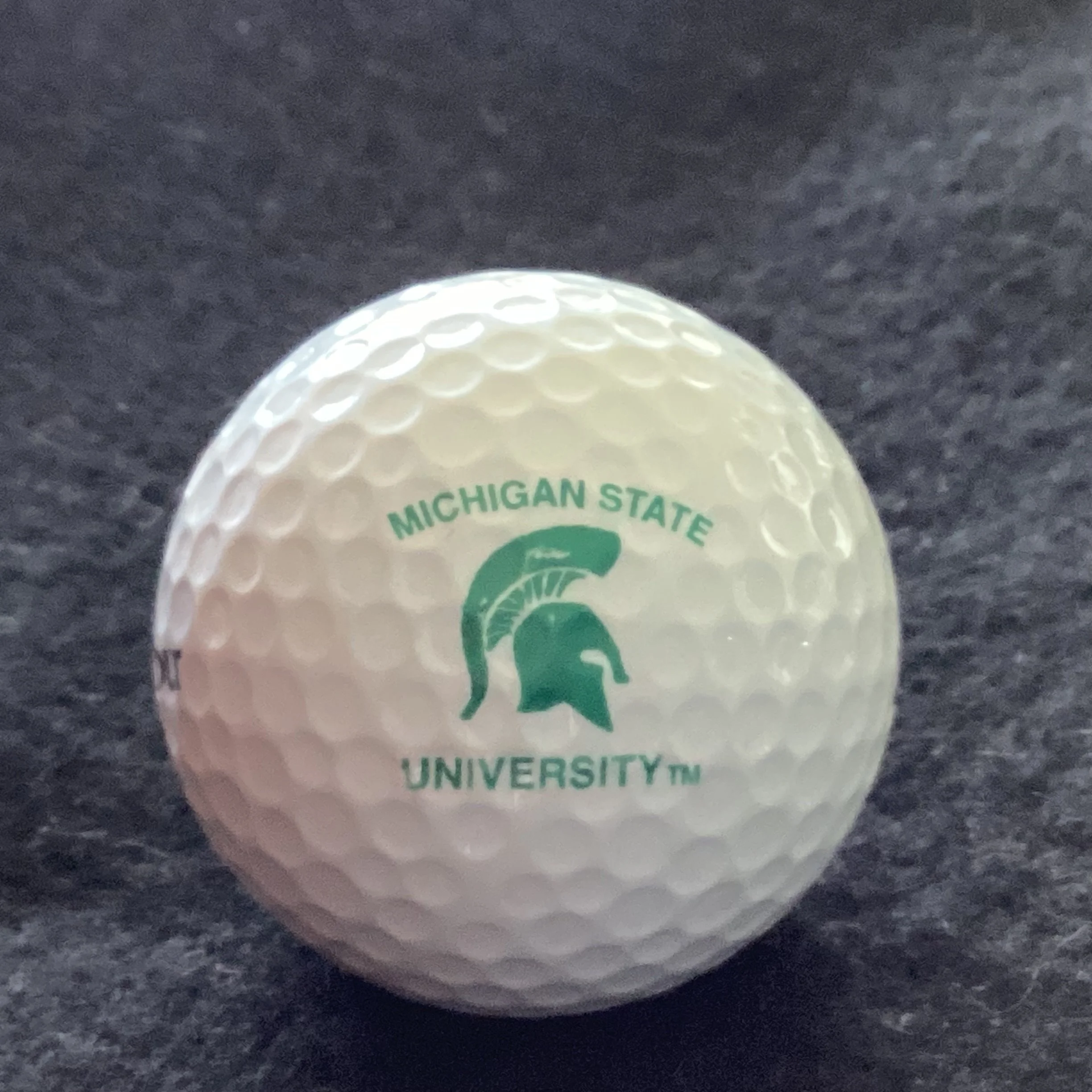 Michigan State University Spartans 