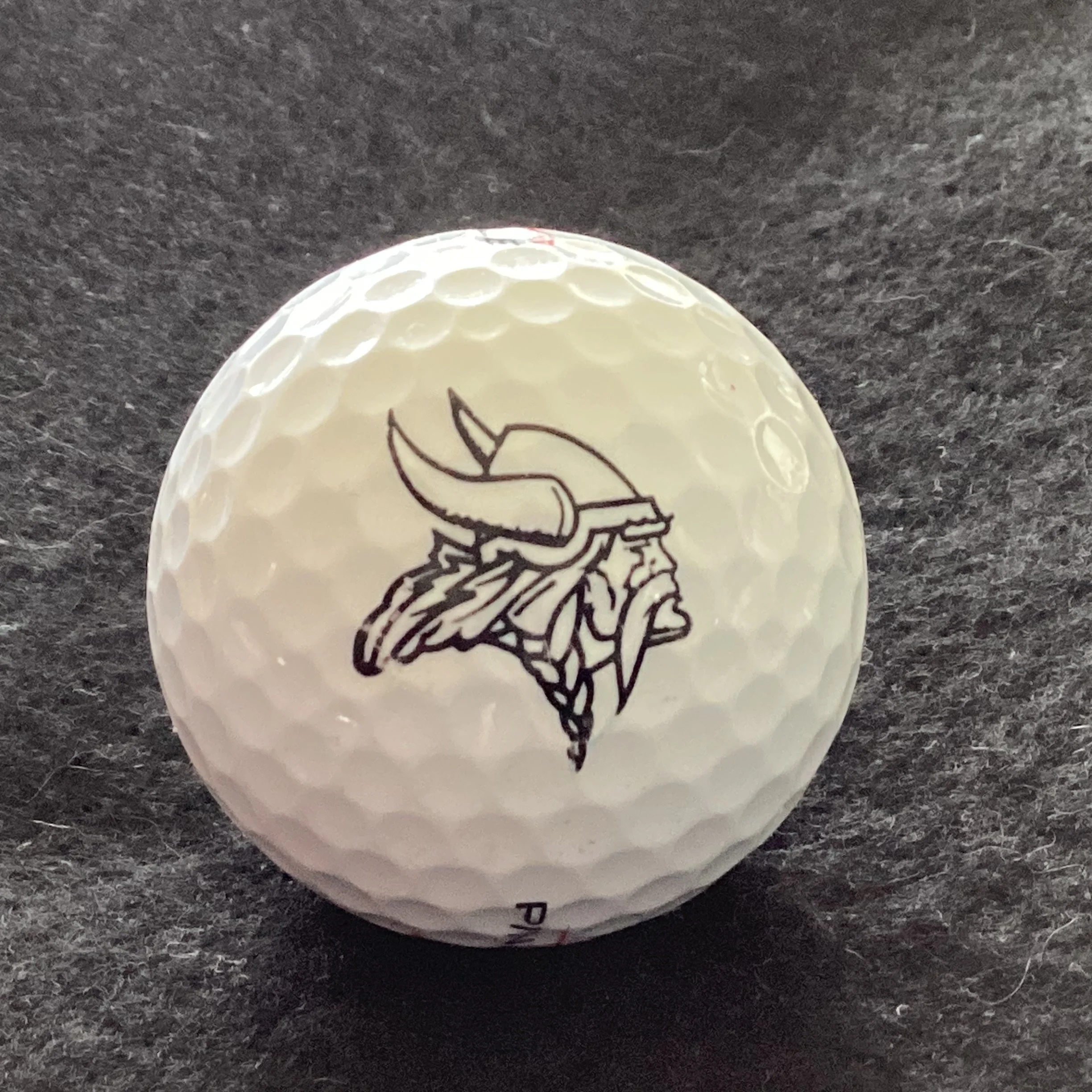 Minnesota Vikings 