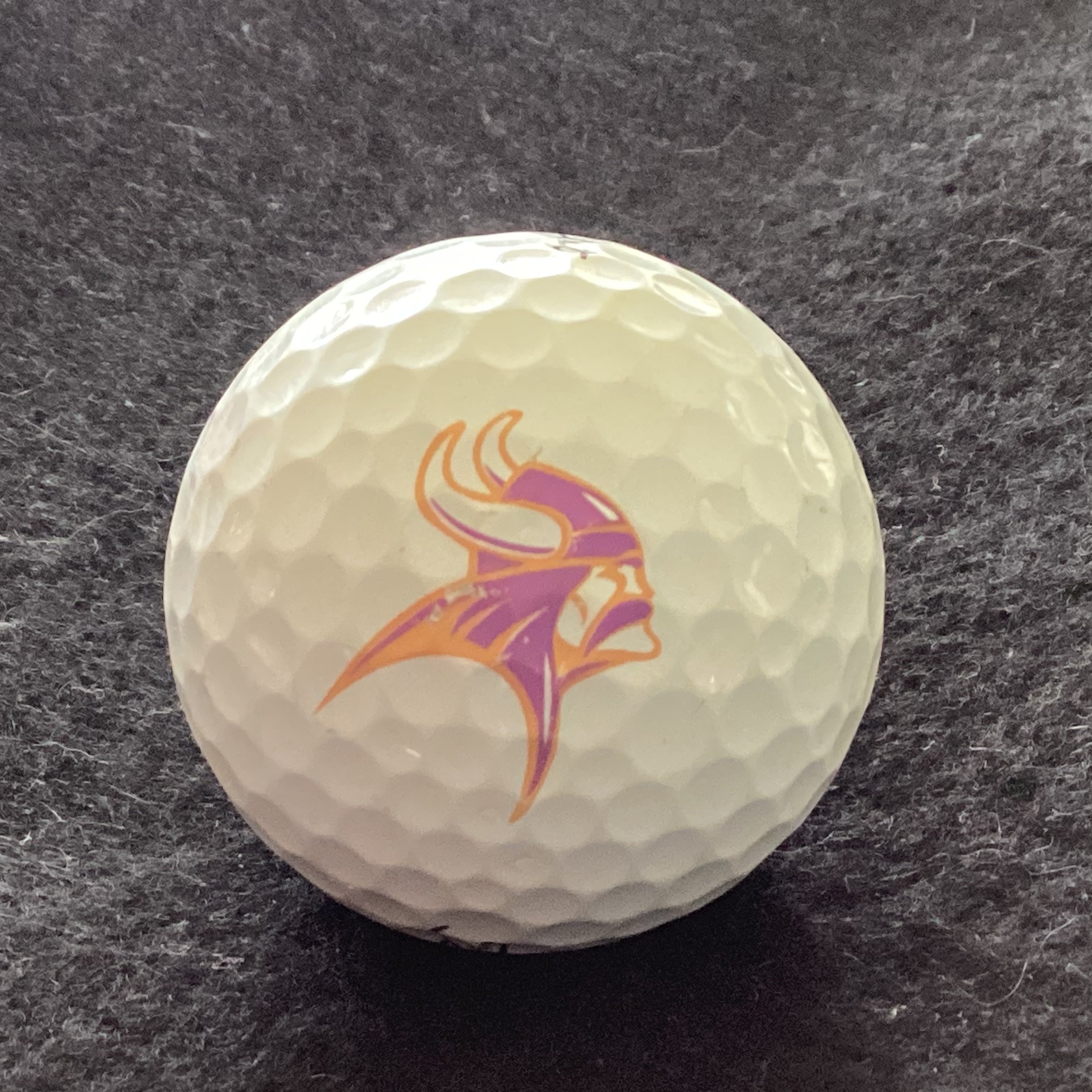 Missouri Valley College Vikings