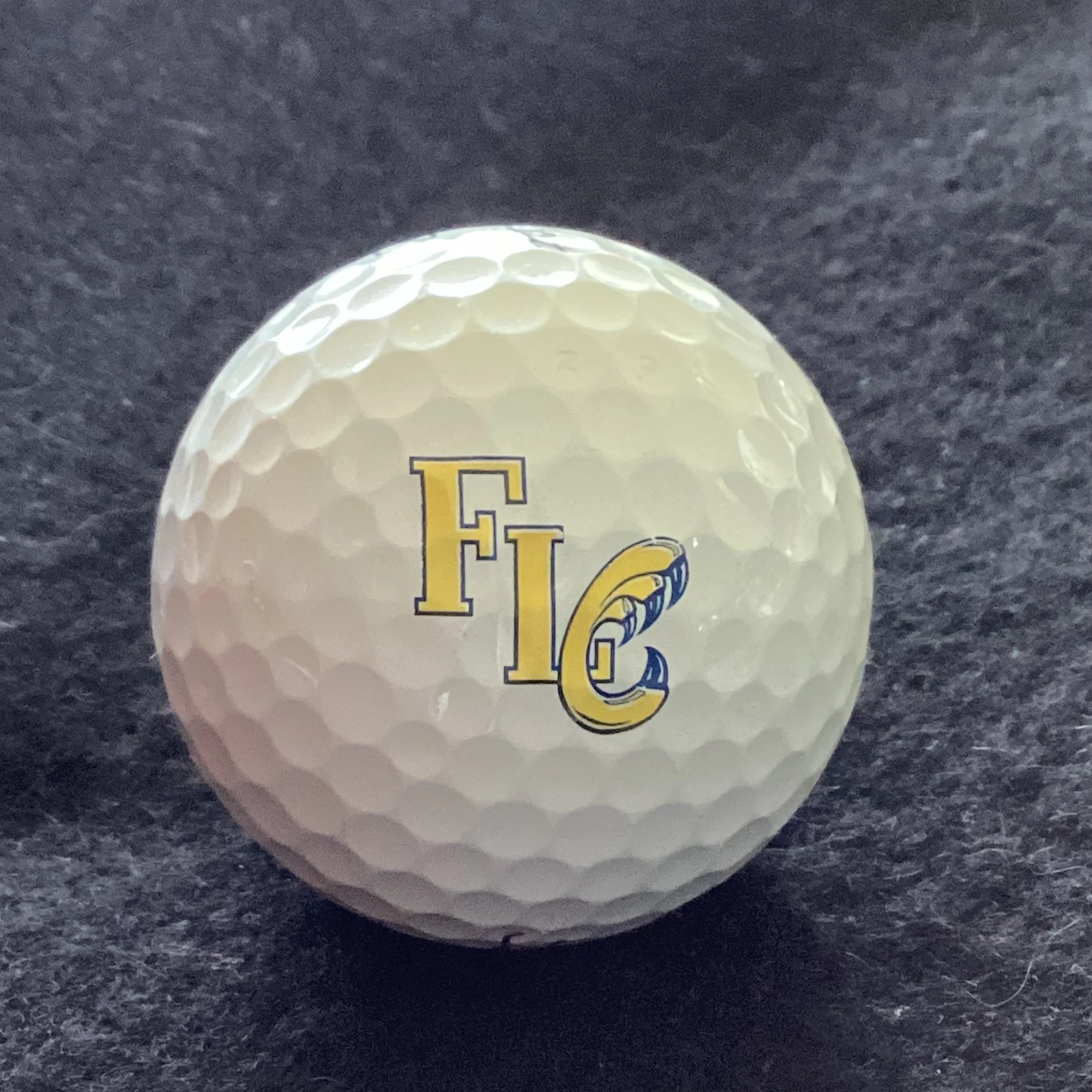 Fort Lewis College Skyhawks