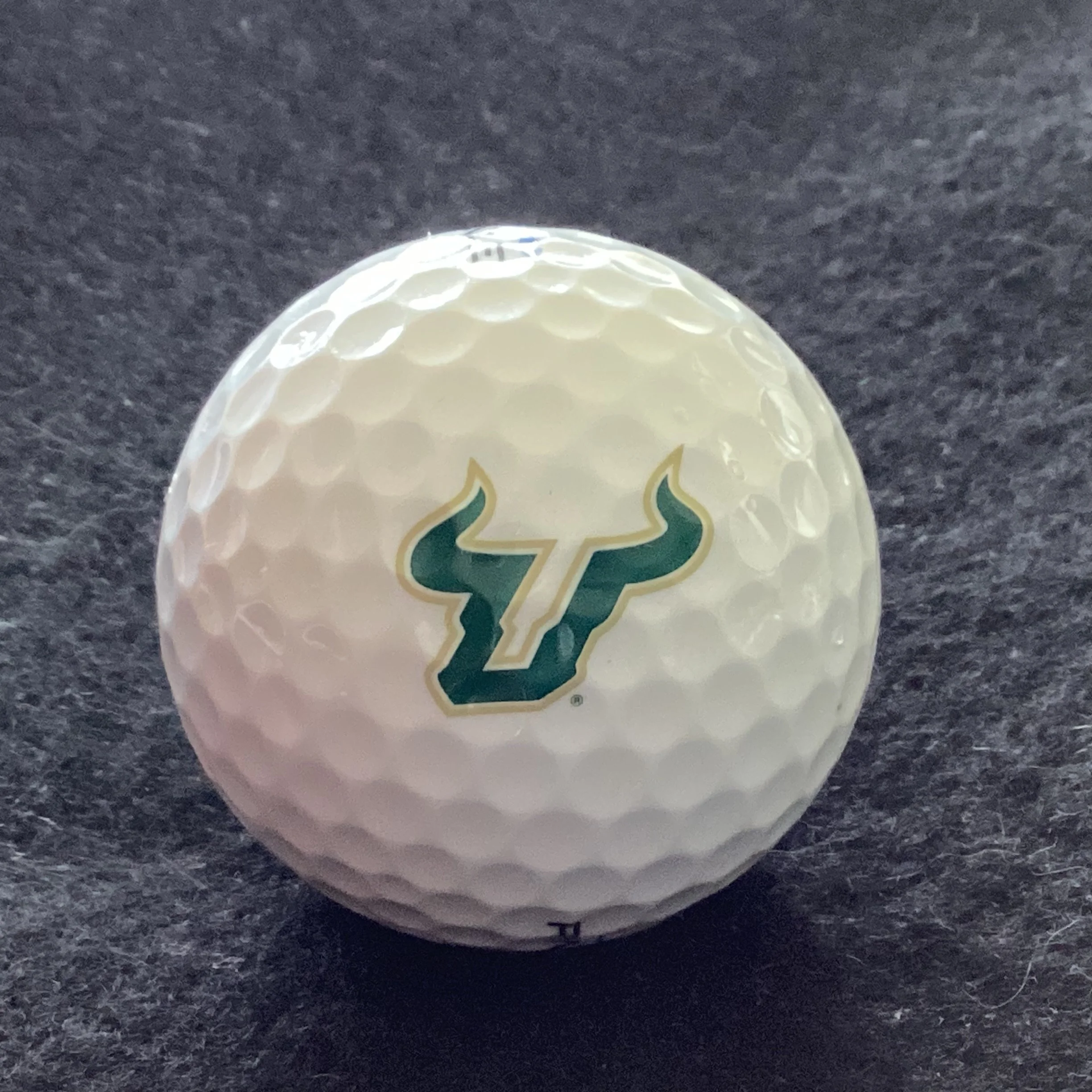 University of South Florida Bulls