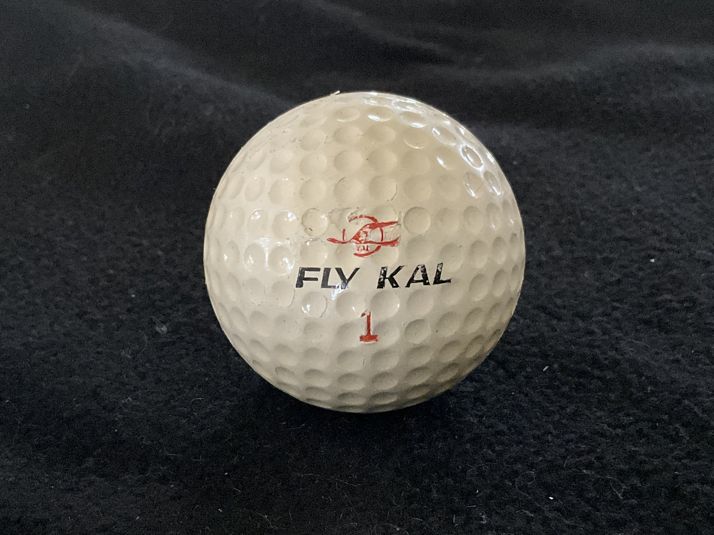 Fly Kal