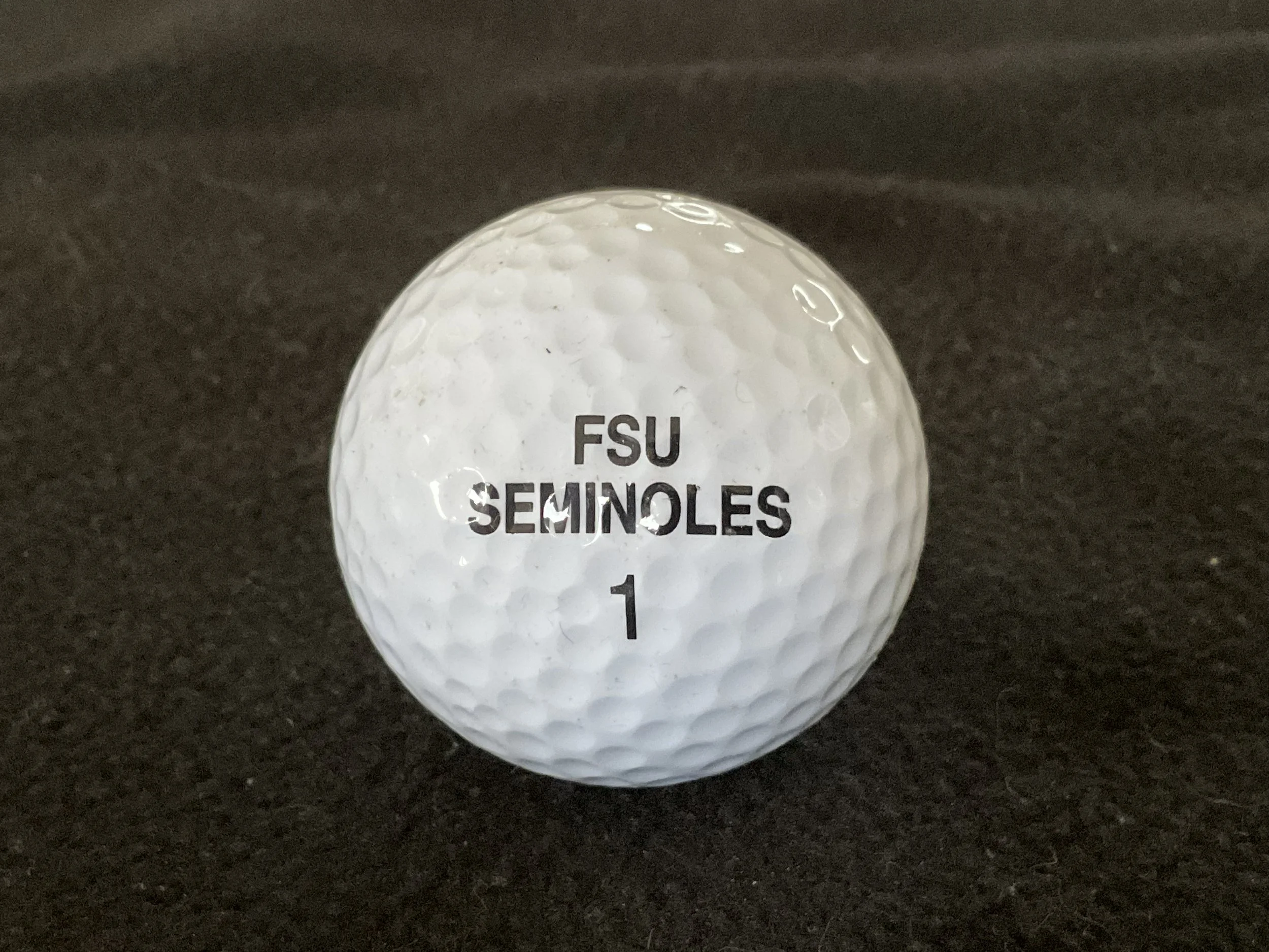 FSU Seminoles