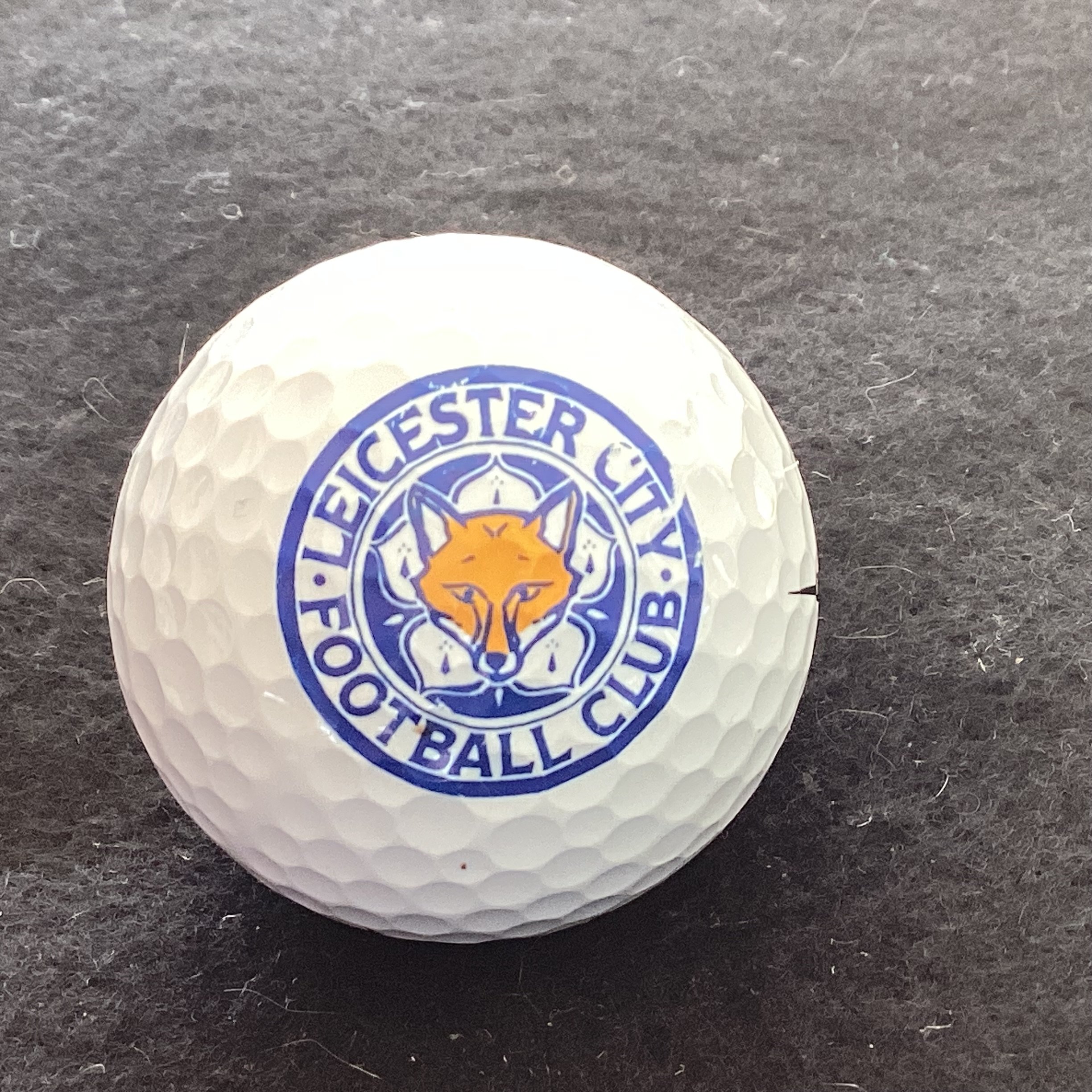 Leicester City Football Club 