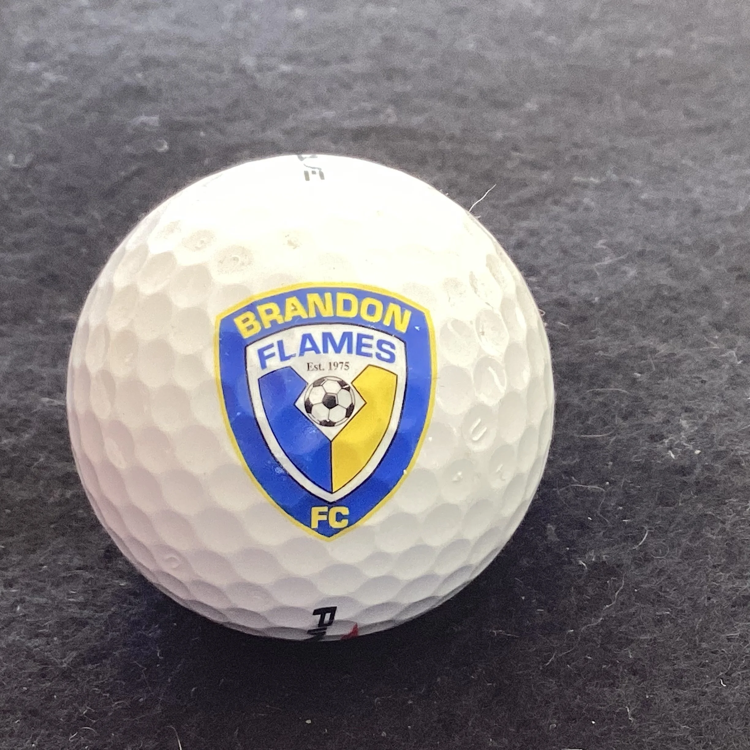 Brandon Flames Football Club 