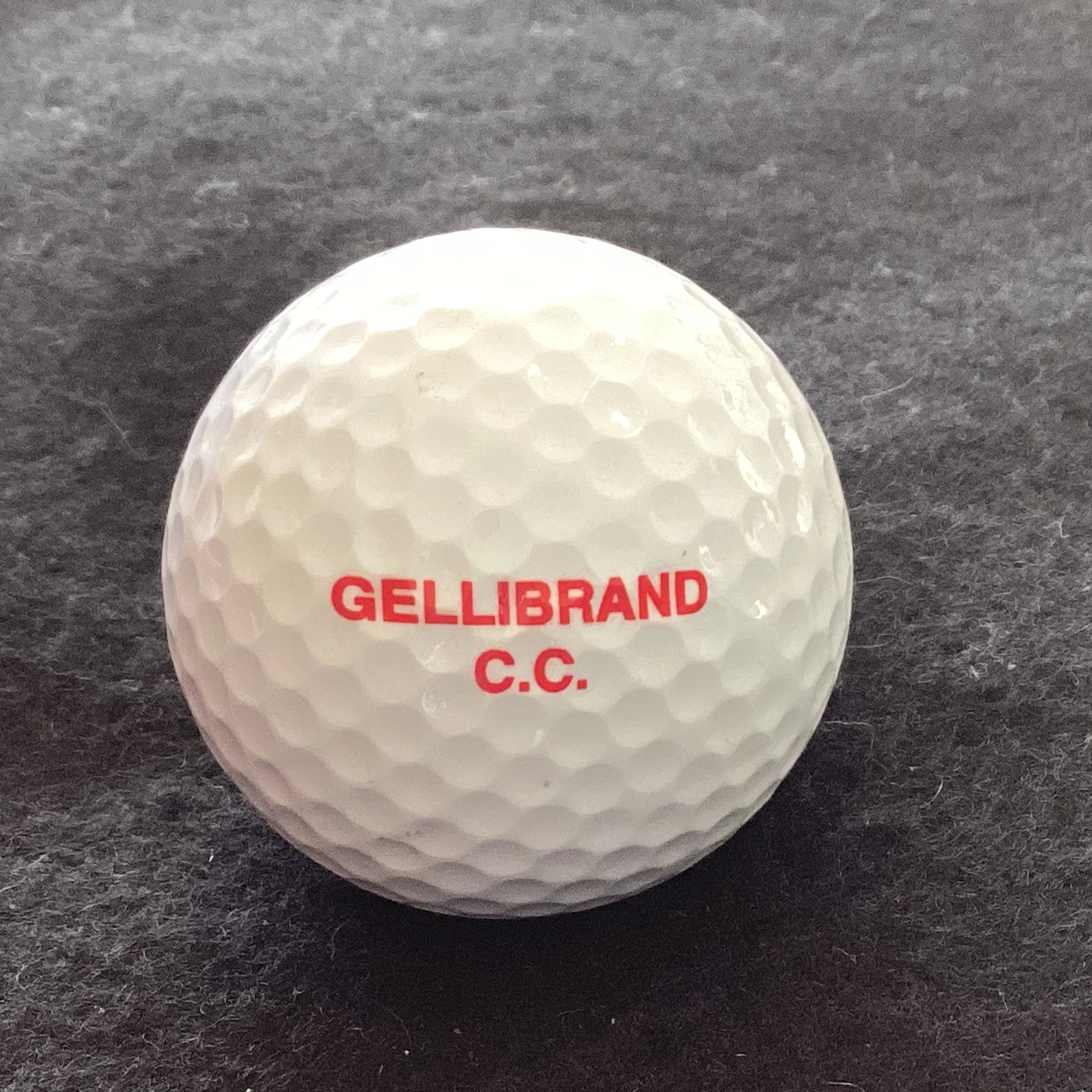 Gellibrand Cricket Club