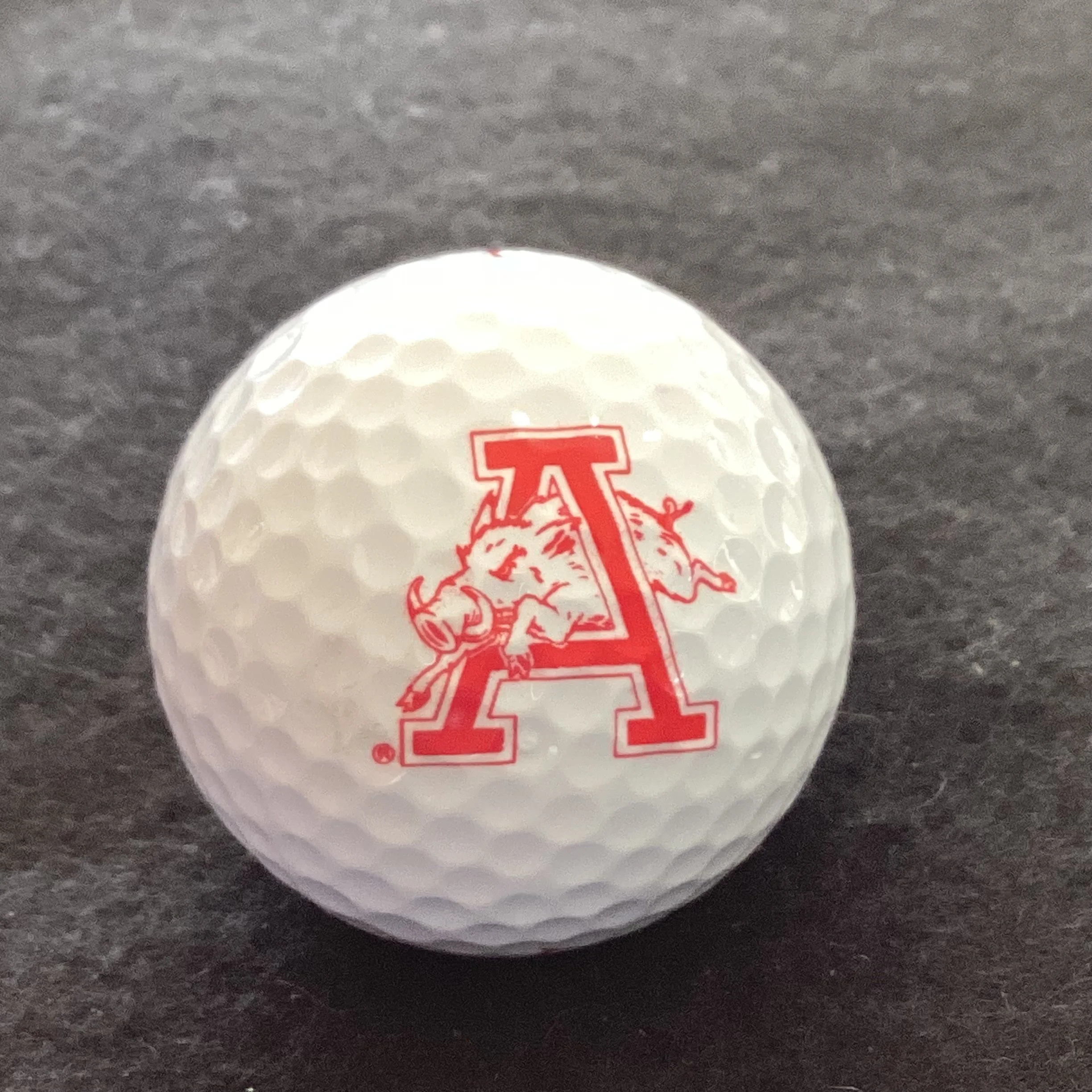 University of Arkansas Razorbacks
