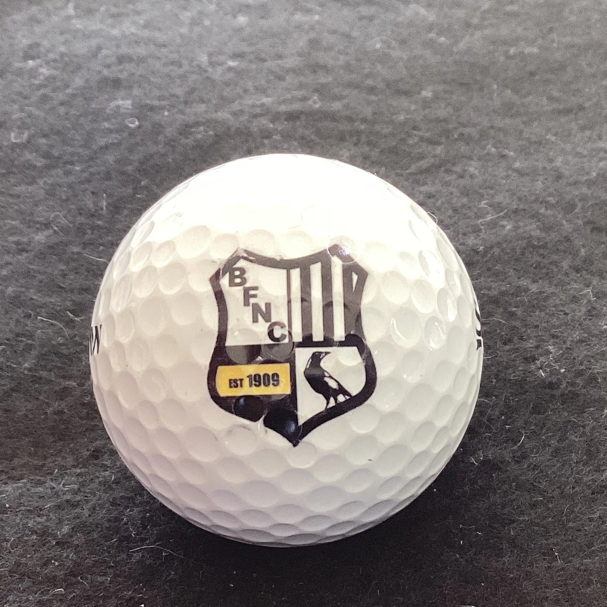 Belgrave Magpies Football and Netball Club 