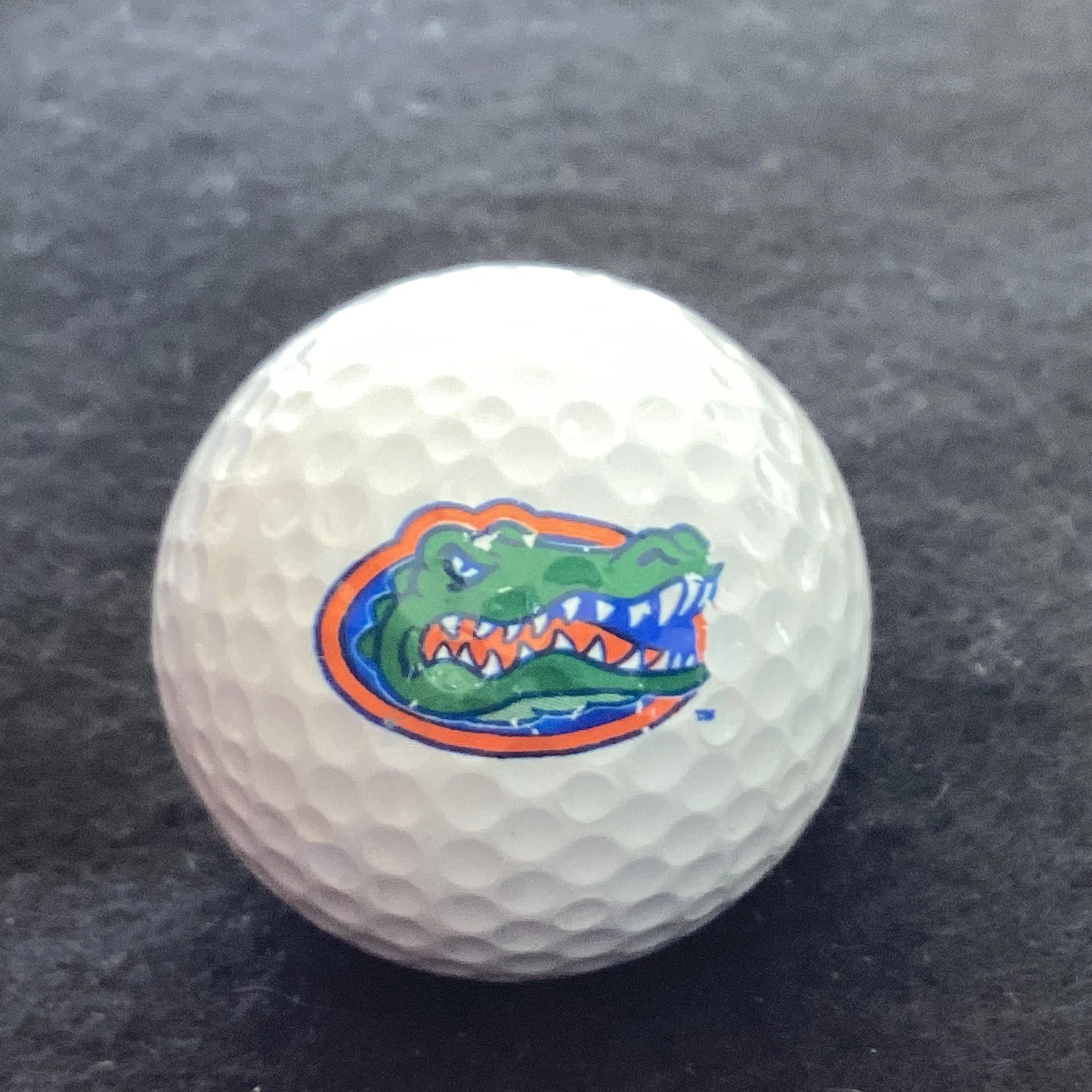 University of Florida Gators