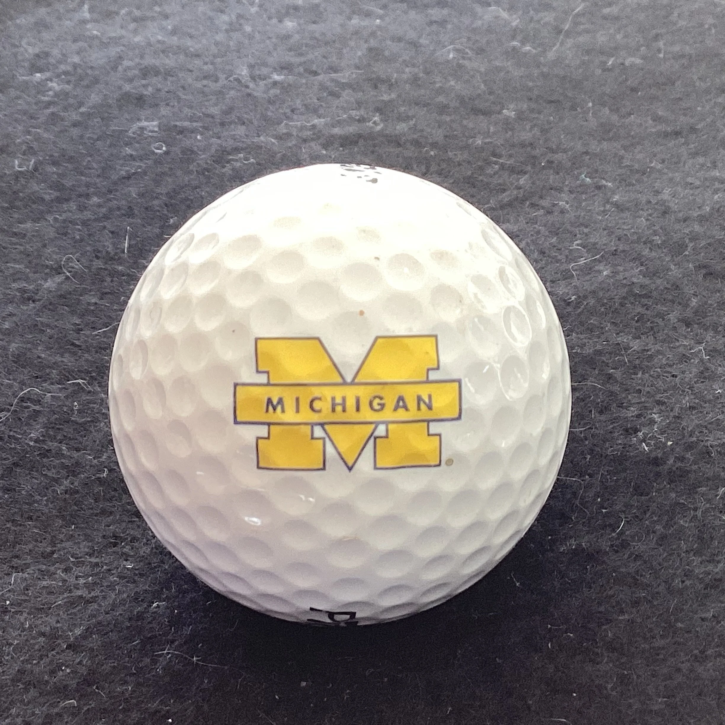 University of Michigan Golf Course 