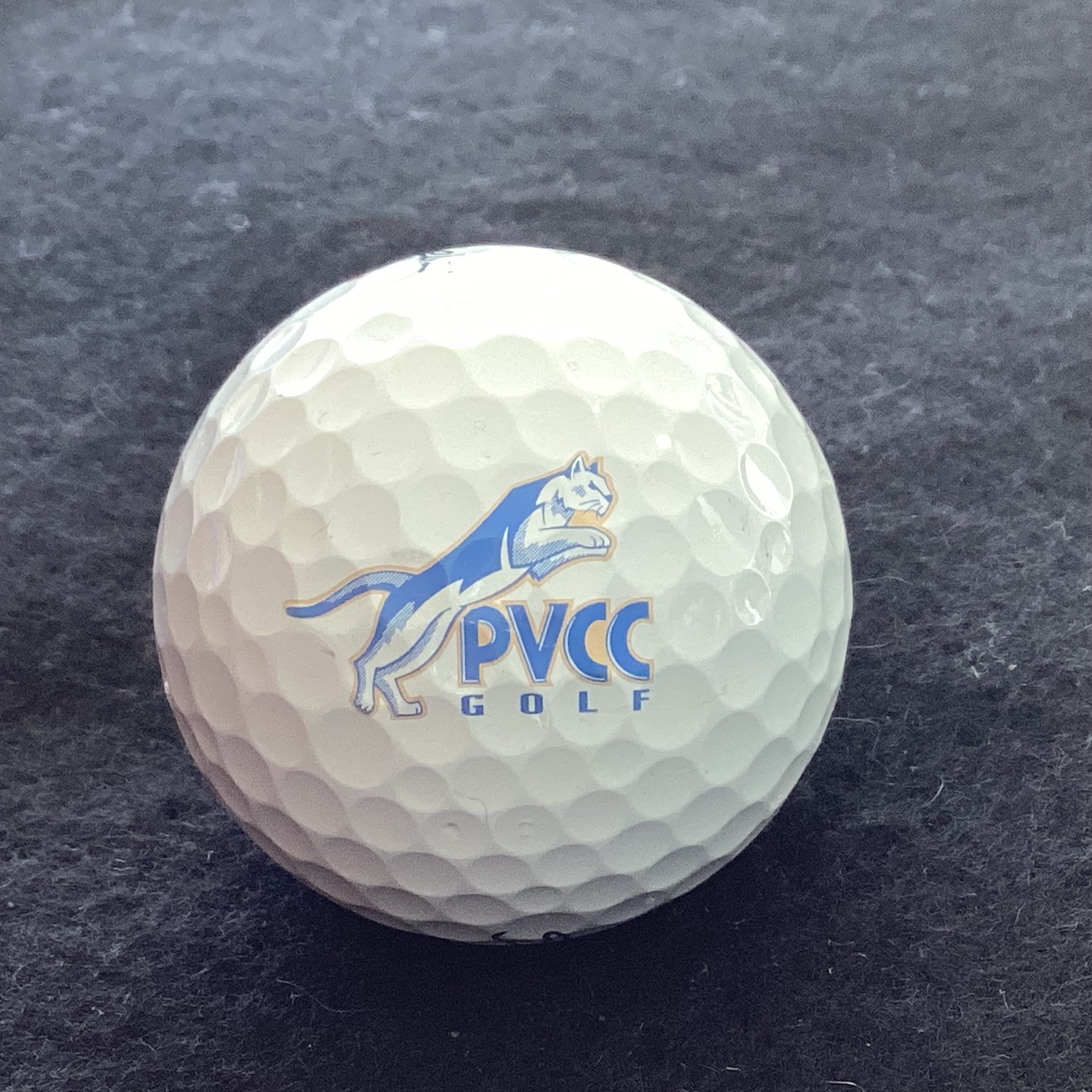 Paradise Valley Community College Golf Team 