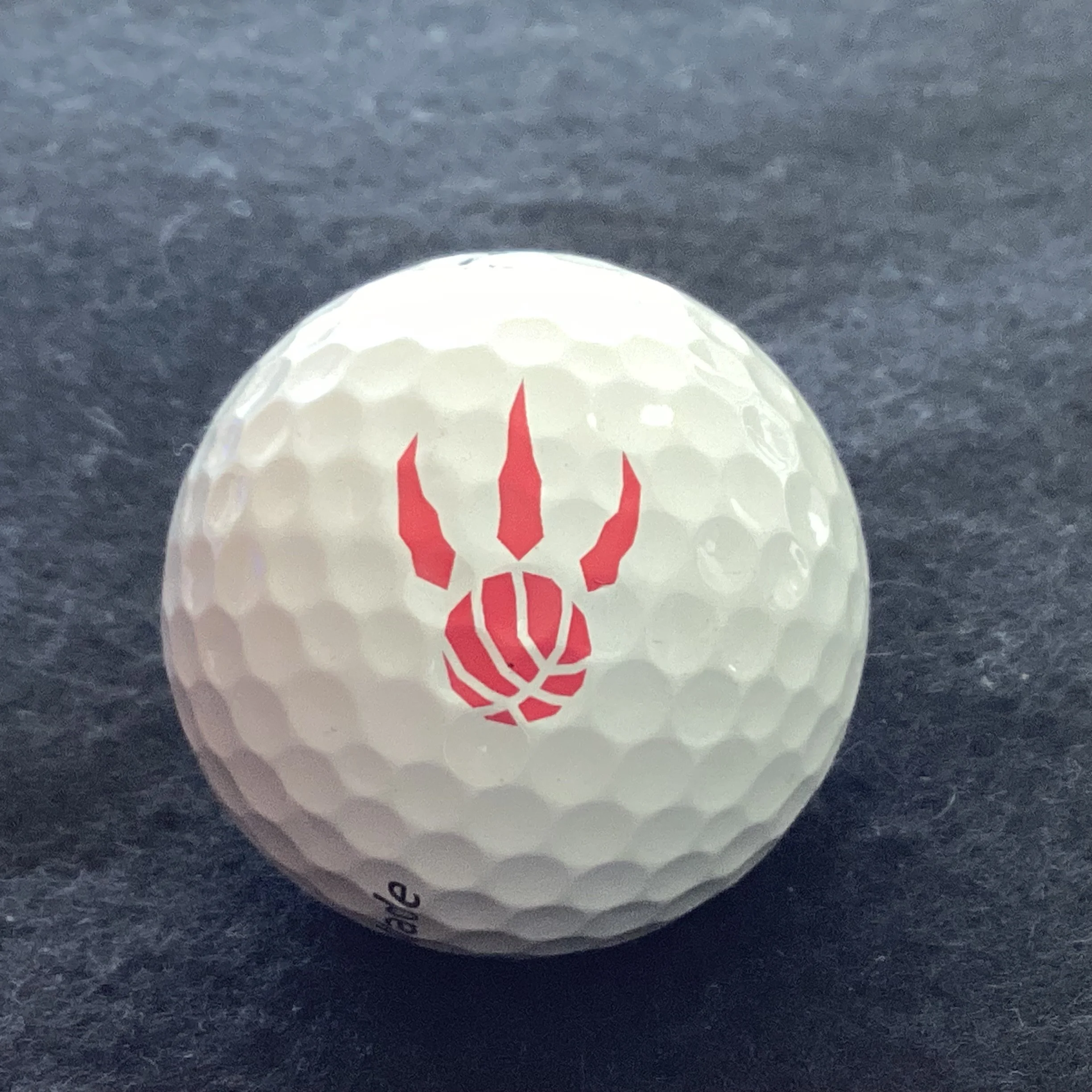 Toronto Raptors