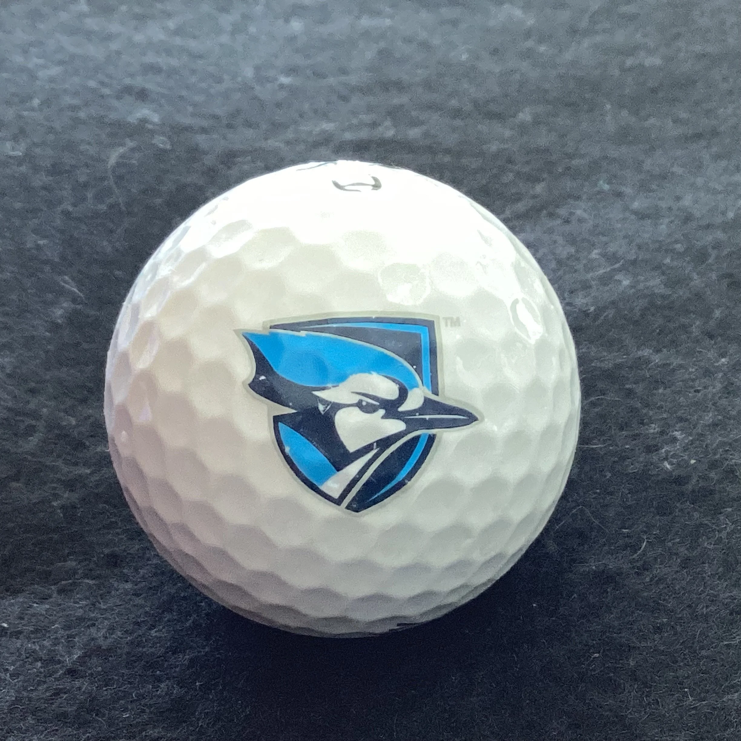 Elmhurst University Blue Jays