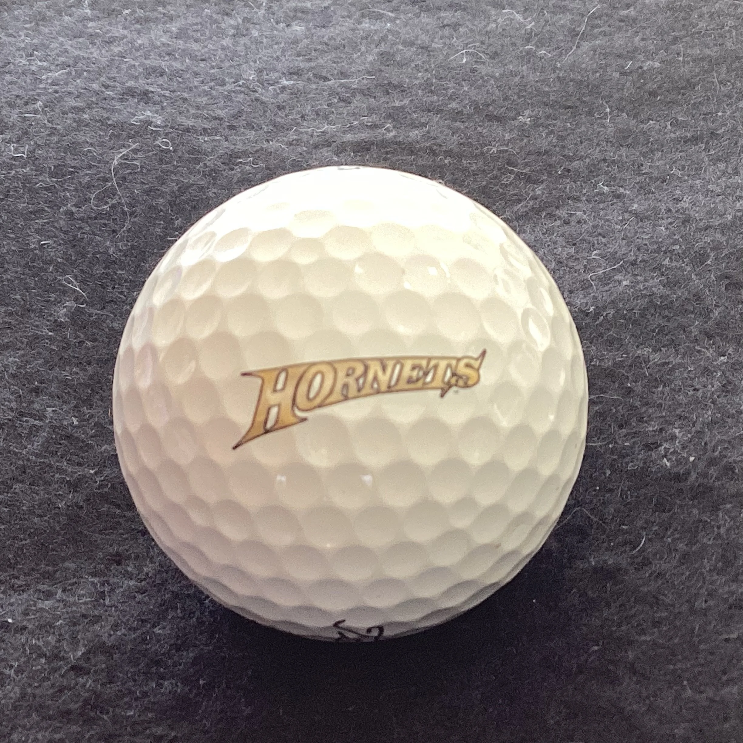 Emporia University State Hornets 