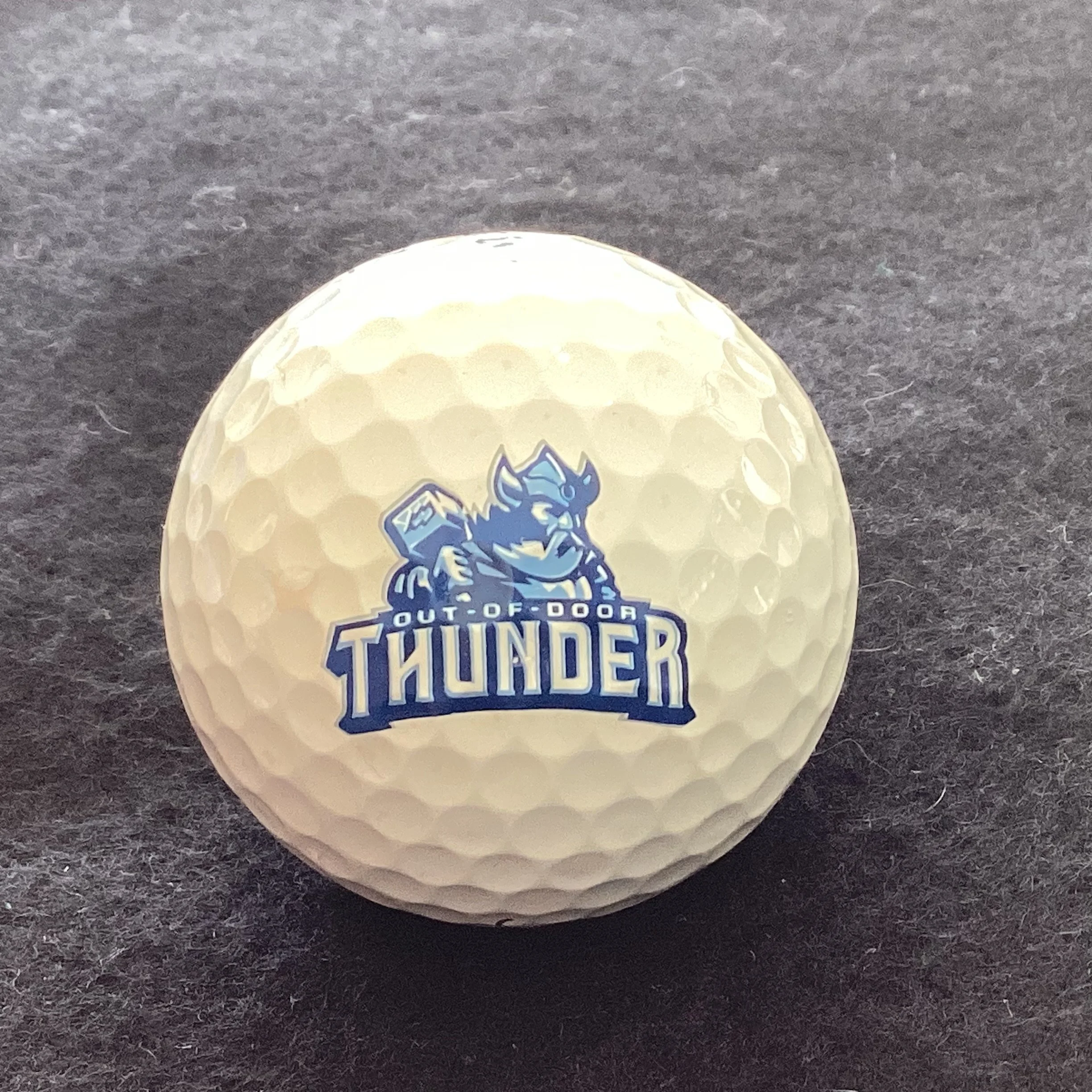 Out of Door Academy High School Thunder