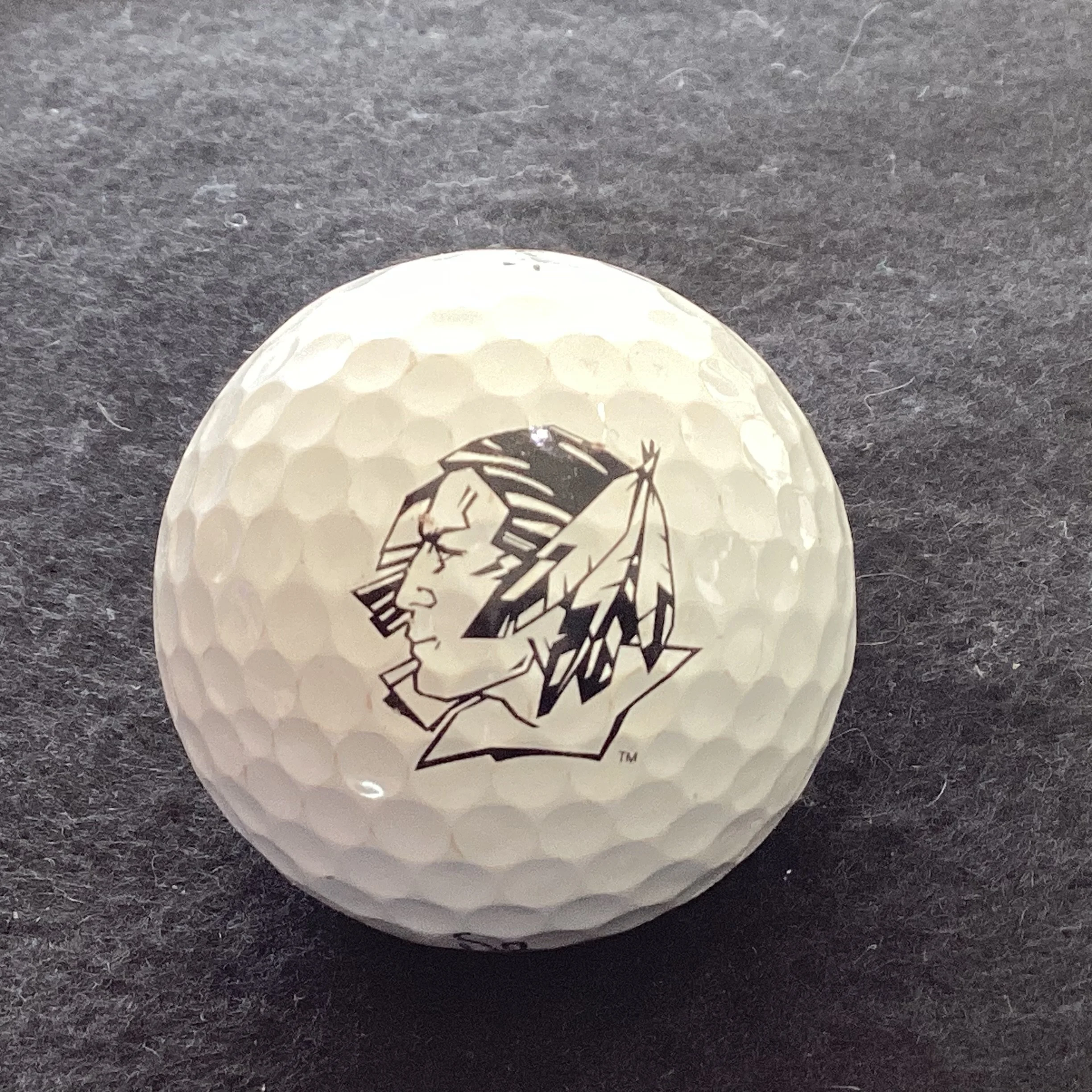 University of North Dakota Fighting Sioux 