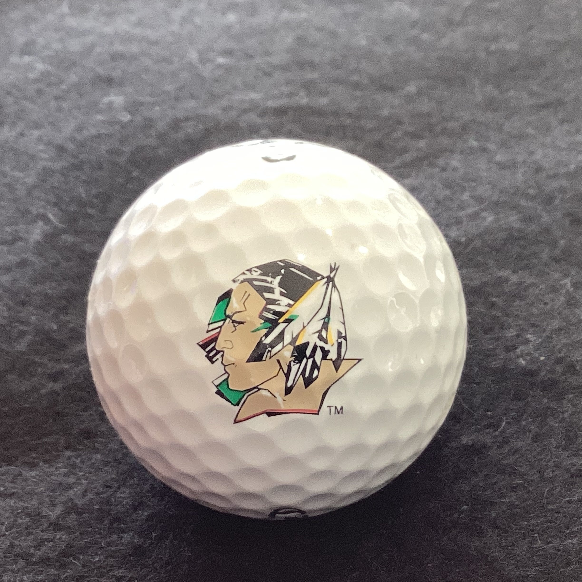 University of North Dakota Fighting Sioux 