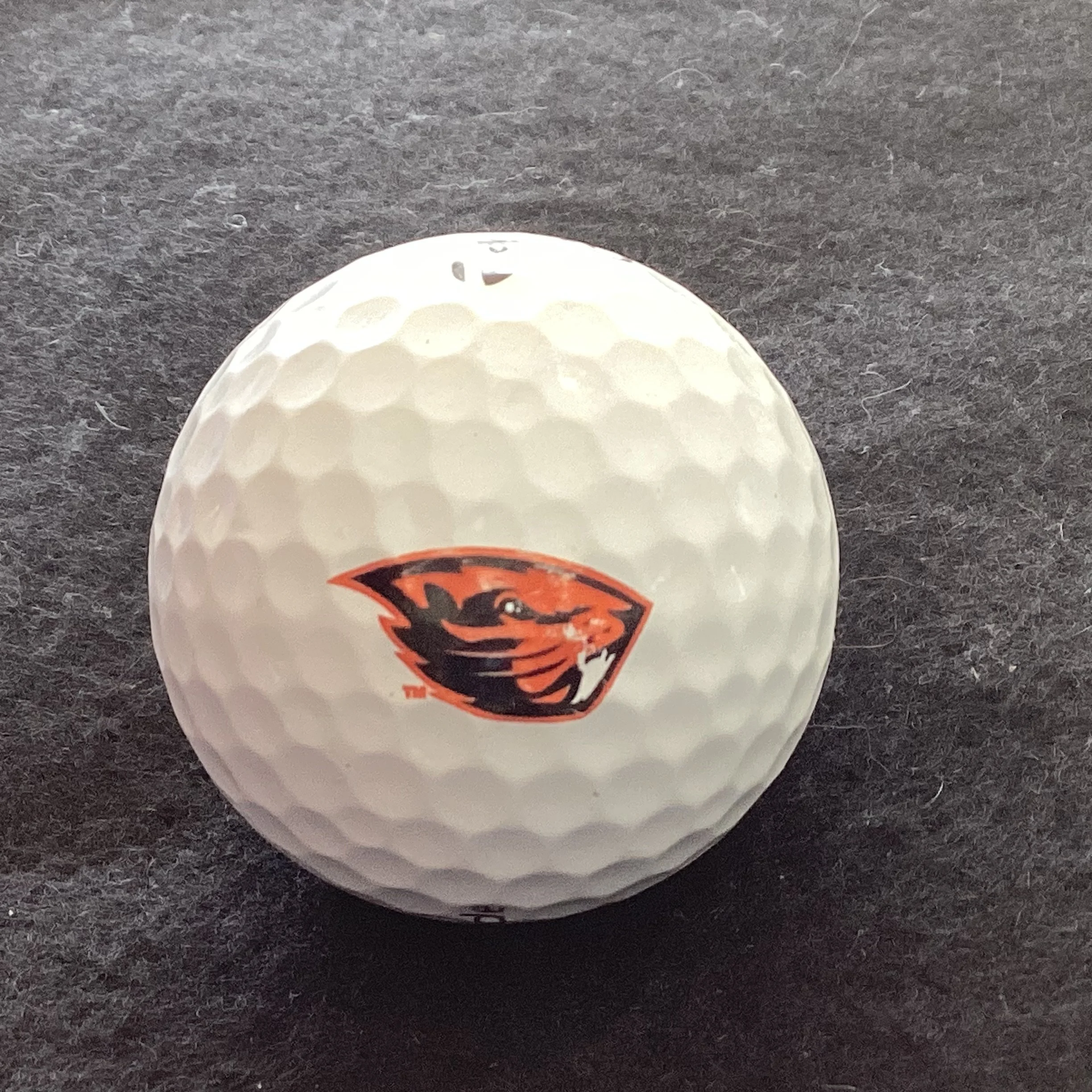 Oregon University Beavers 