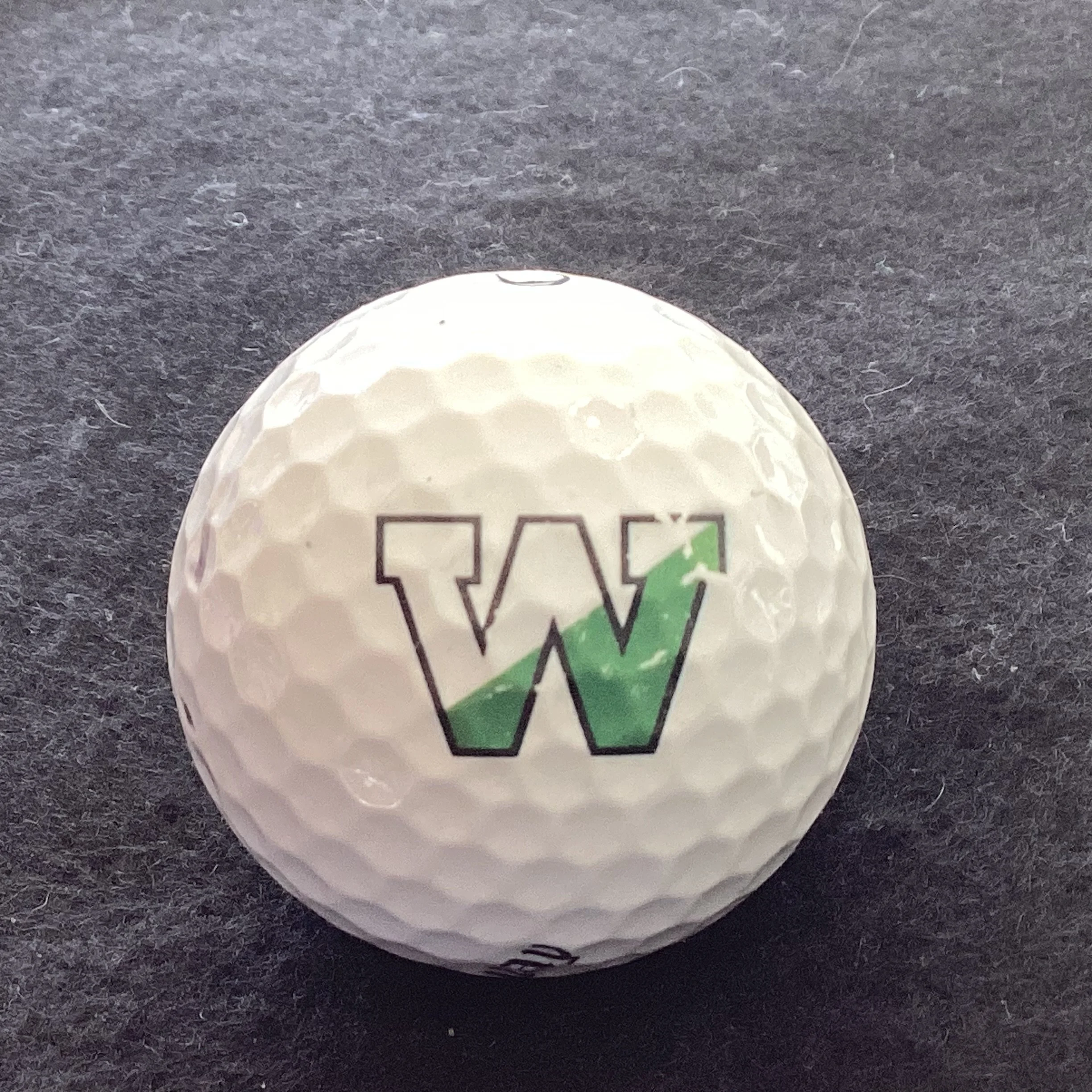 Wachusett Basketball Team 