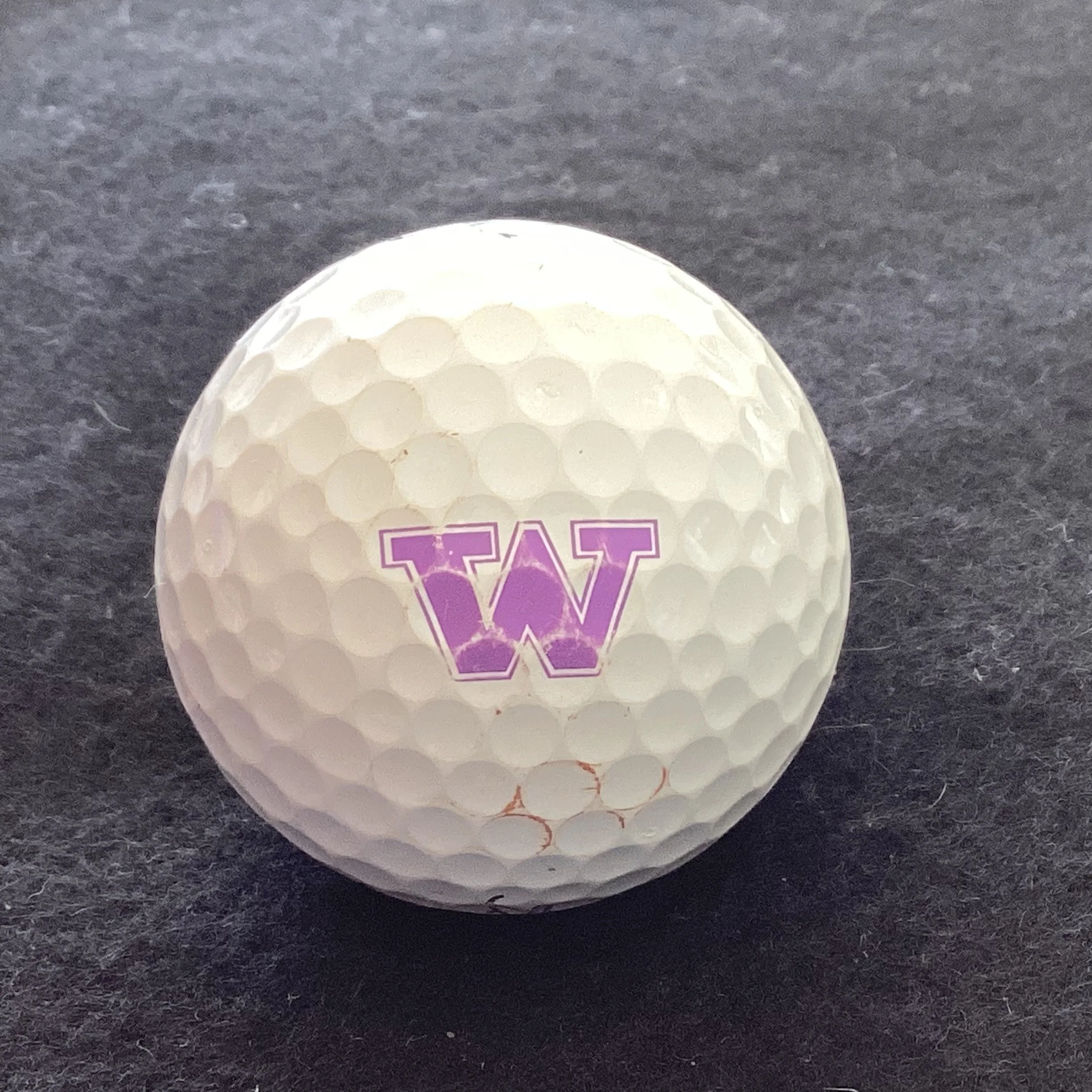 University of Washington Huskies 