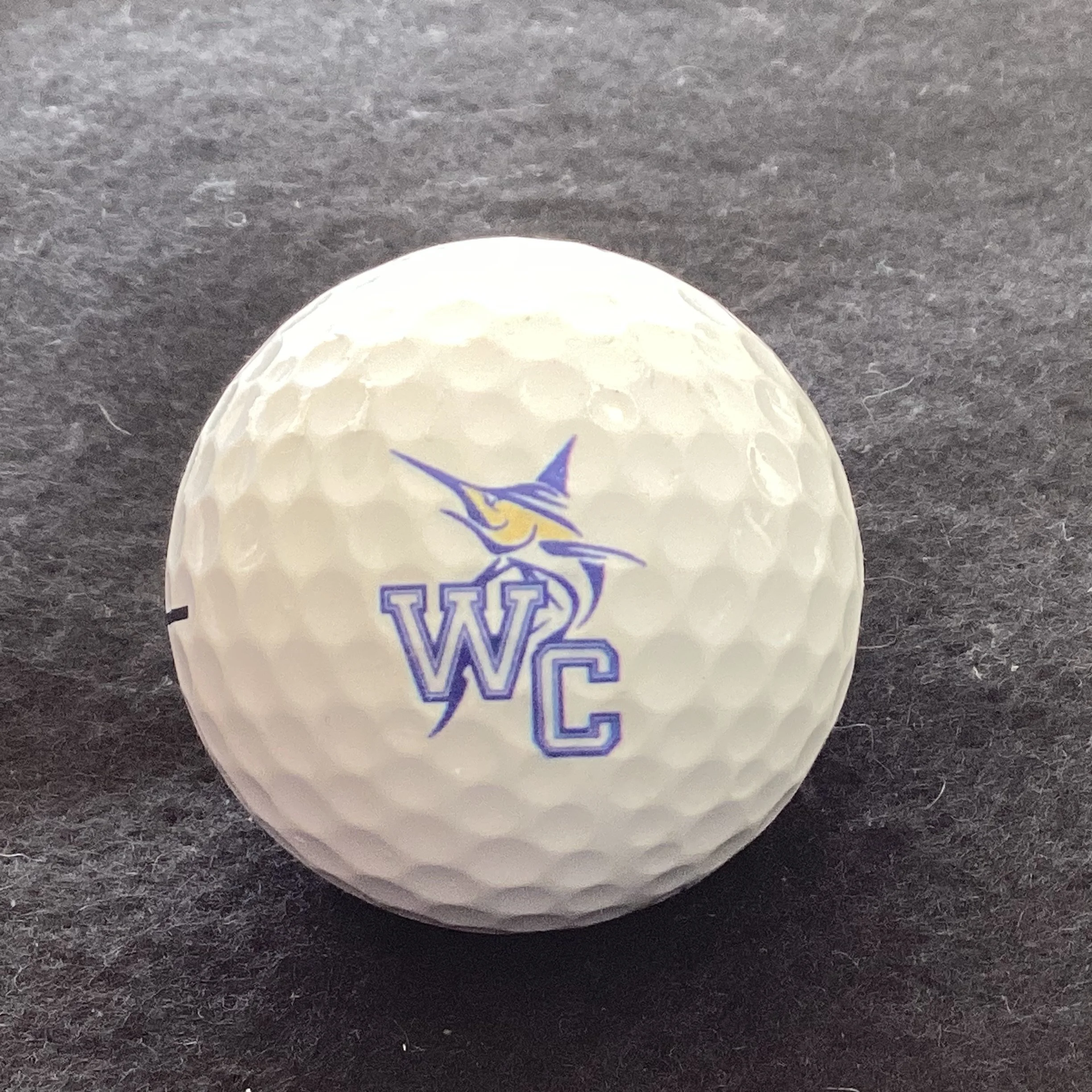 Wesleyan College Marlins