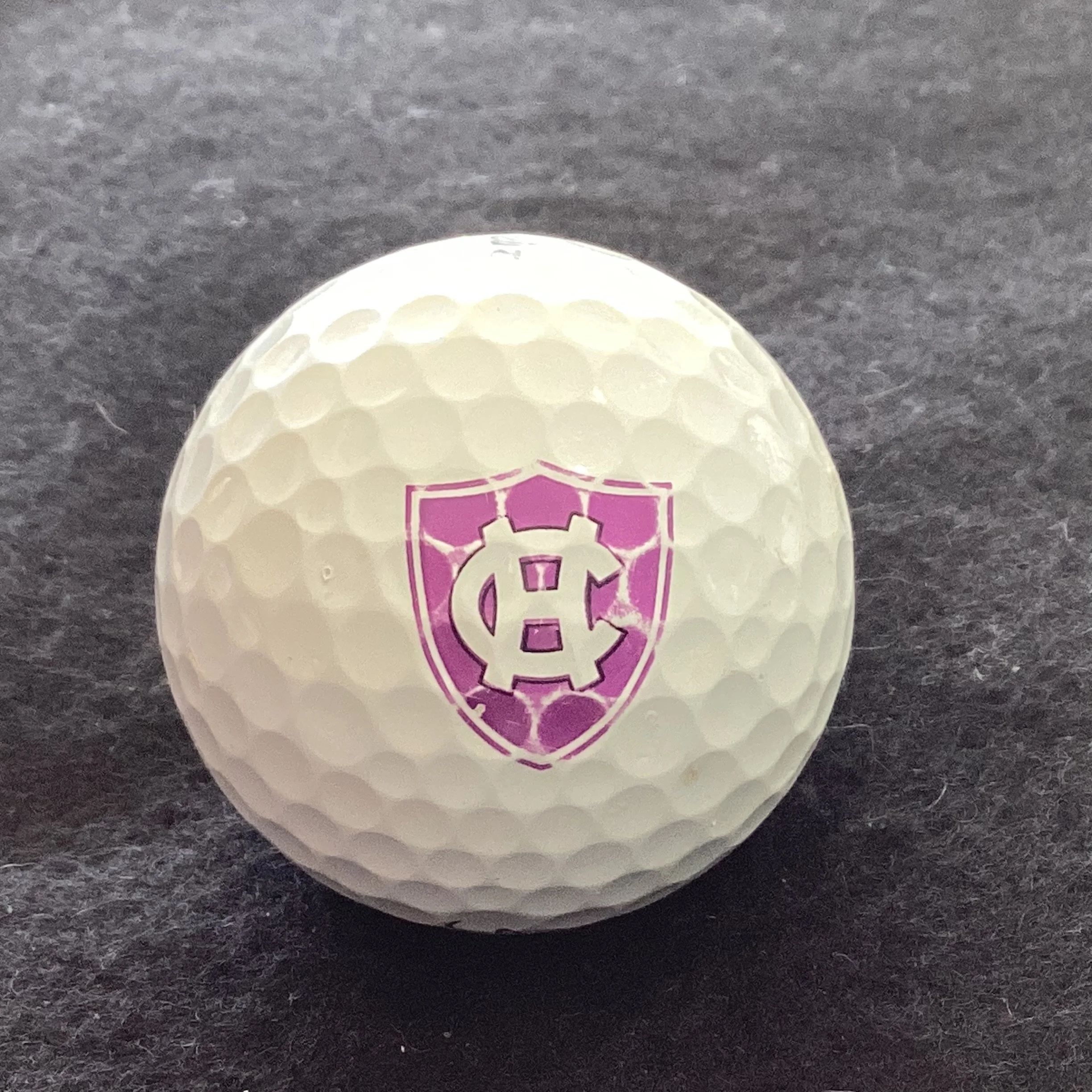 Holy Cross Crusaders