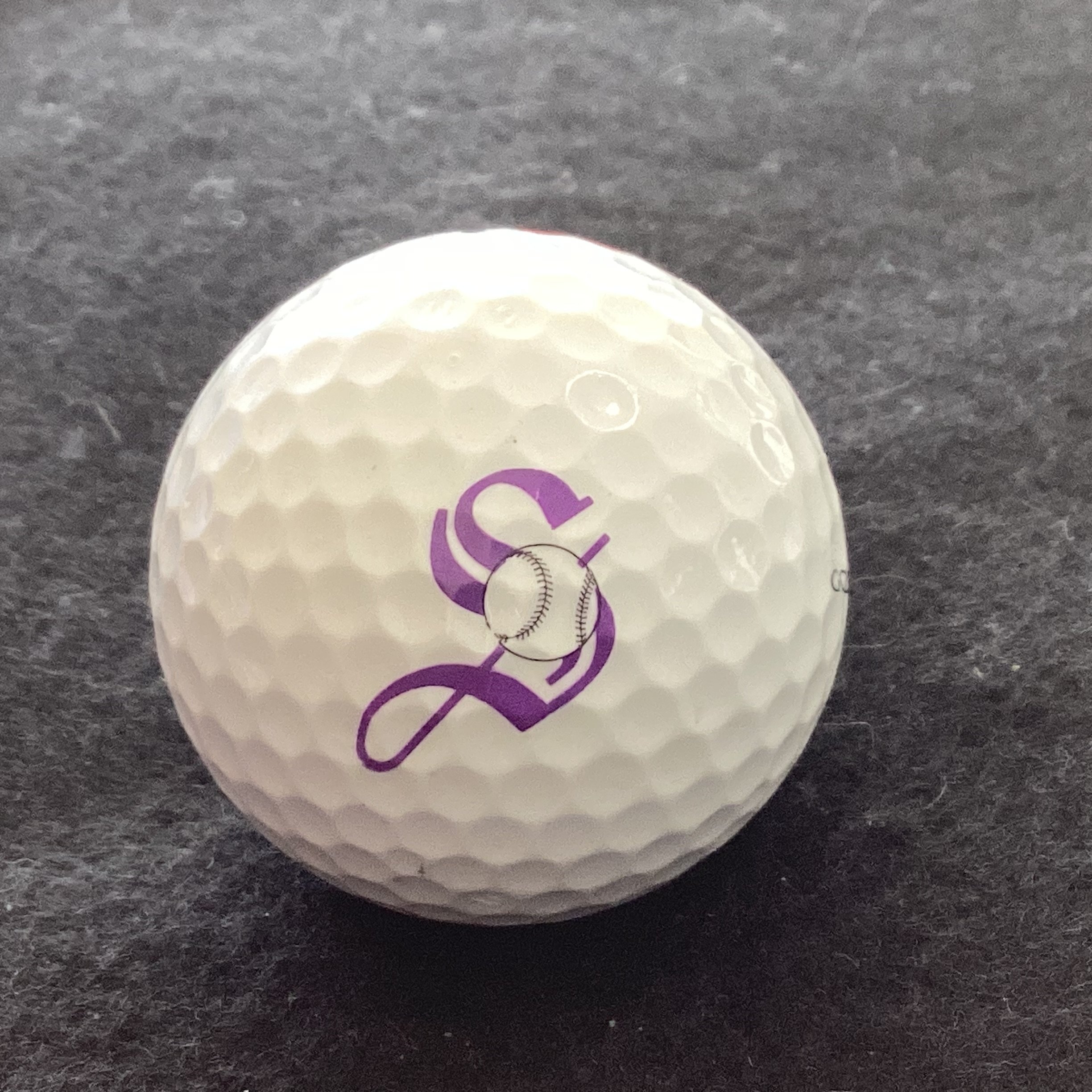 University of The South Sewanee Tigers