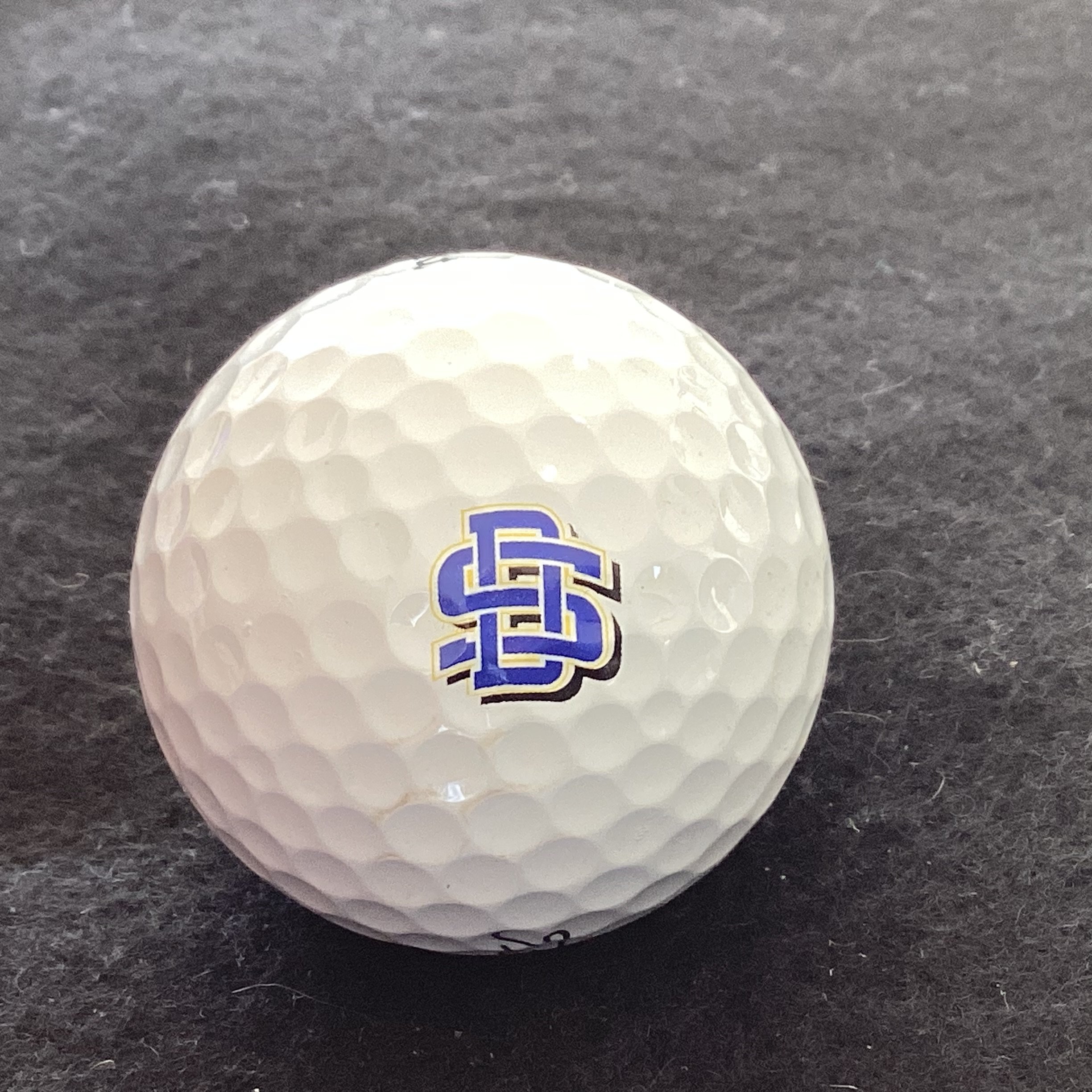 South Dakota State University 