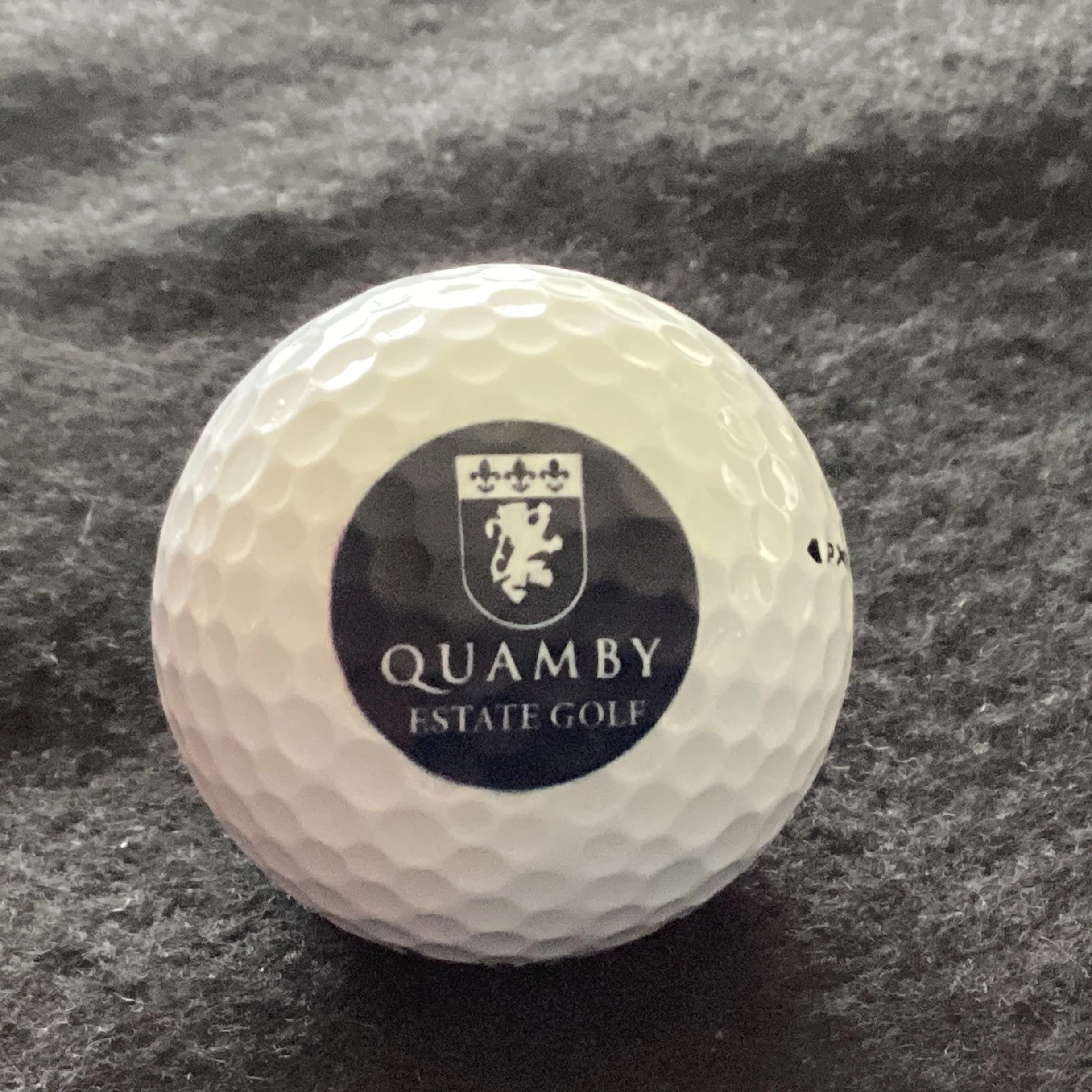 Quamby Estate Golf and Country Club 