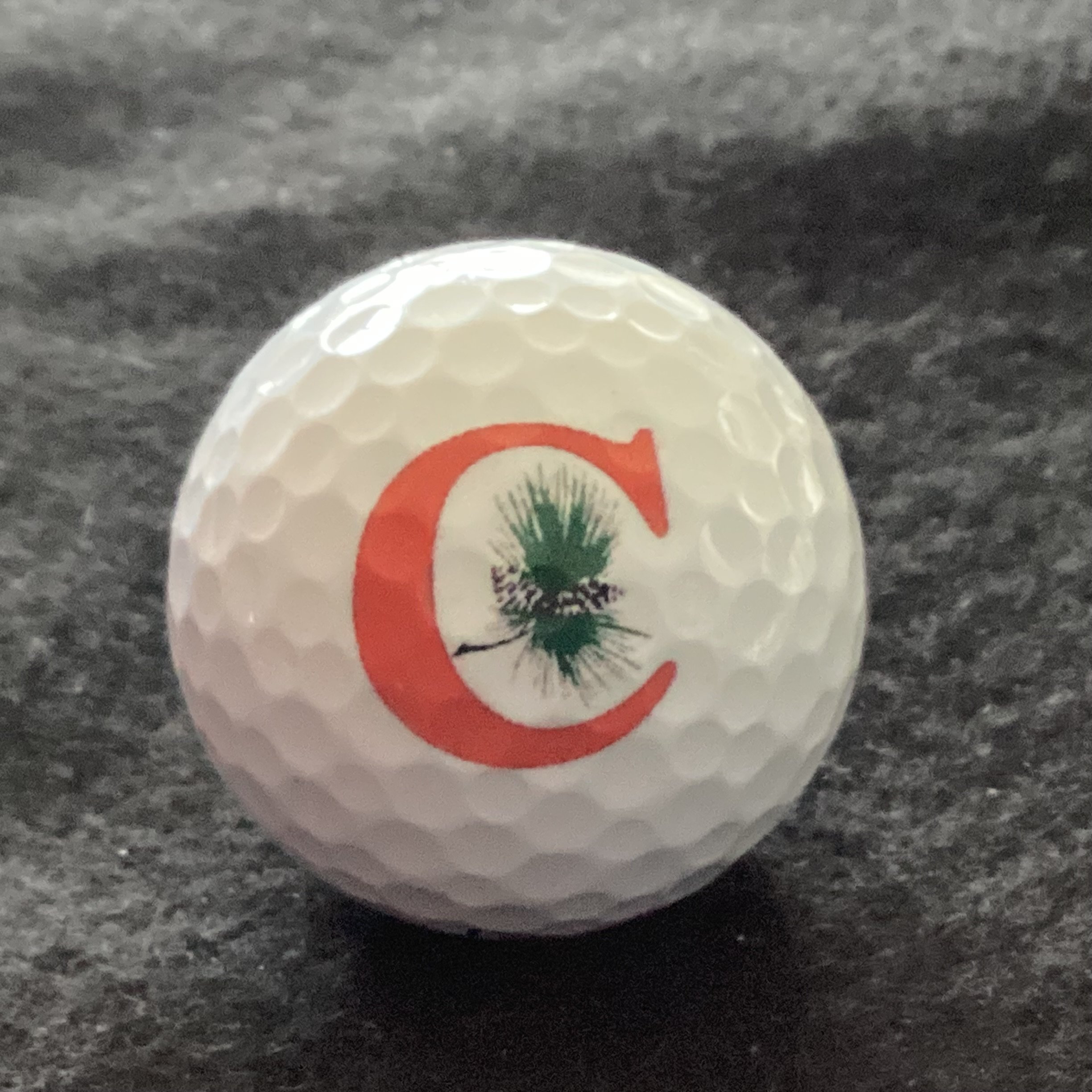 Camden Country Club 