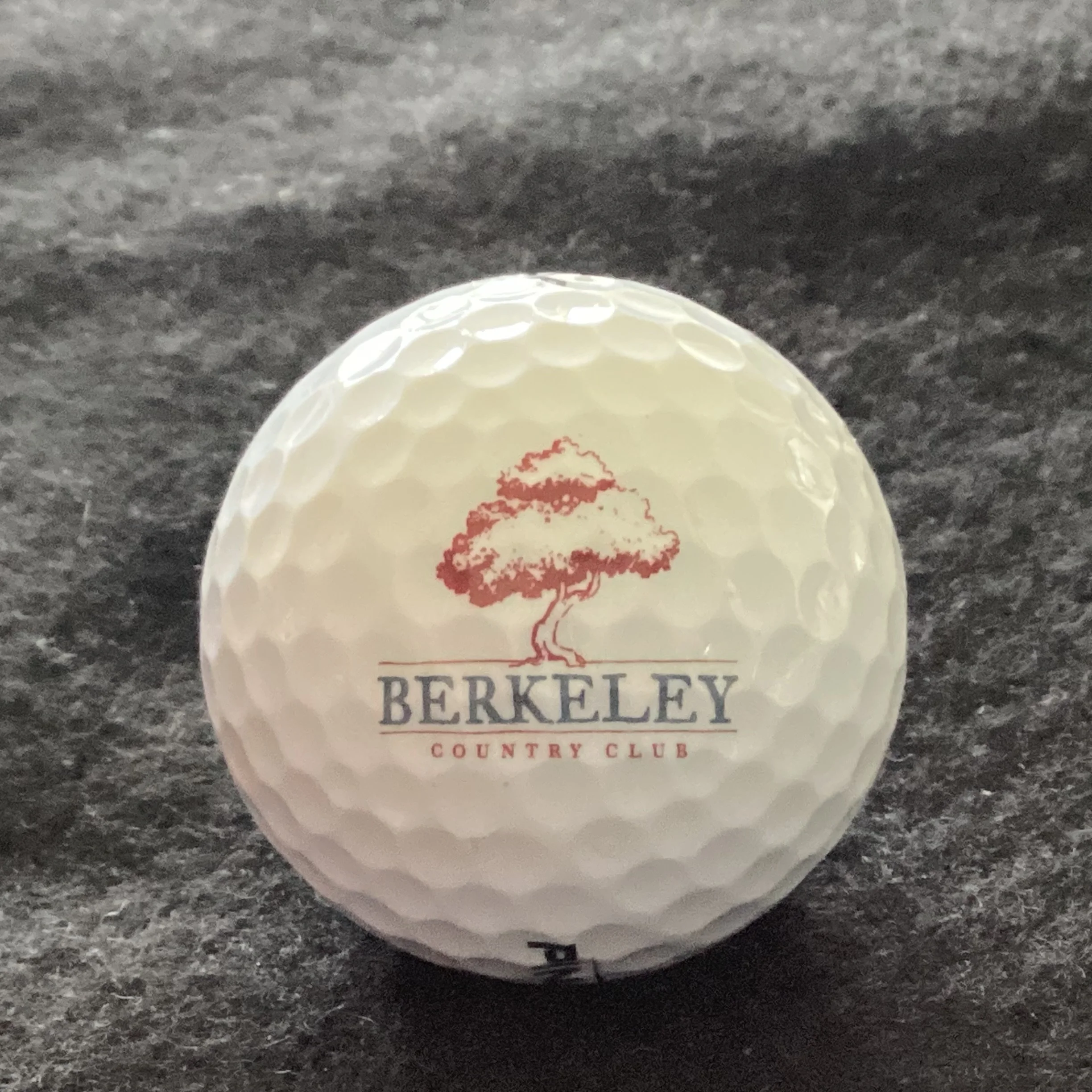 Berkeley Country Club 